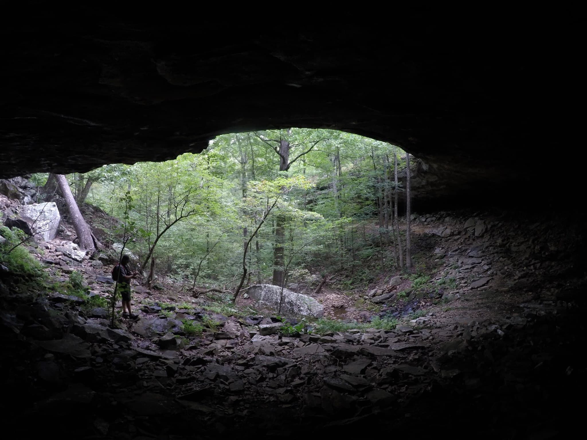 A view out into a forest from the back of a rock shelter