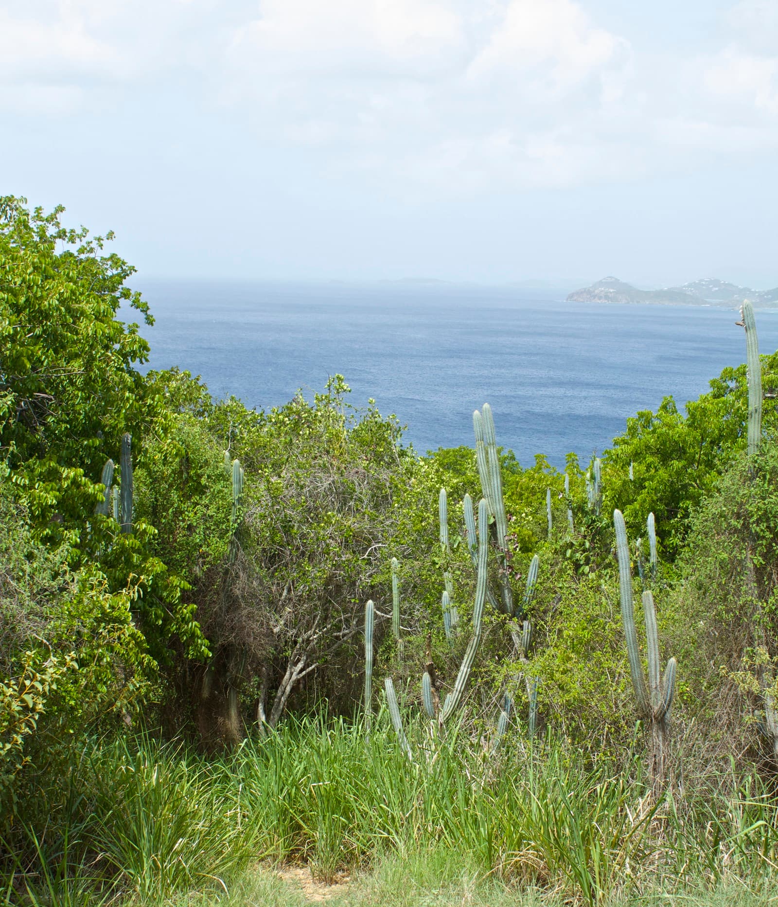 View from Tektite Trail