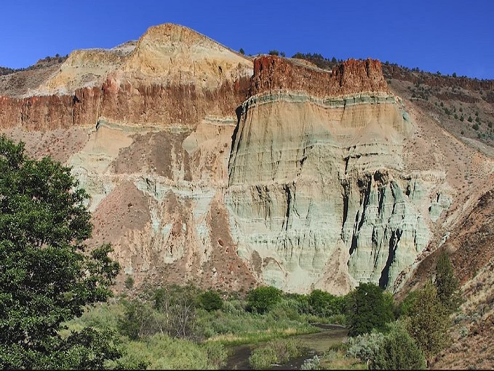 A blue-green geologic formation with green grass and a tree in the foreground.