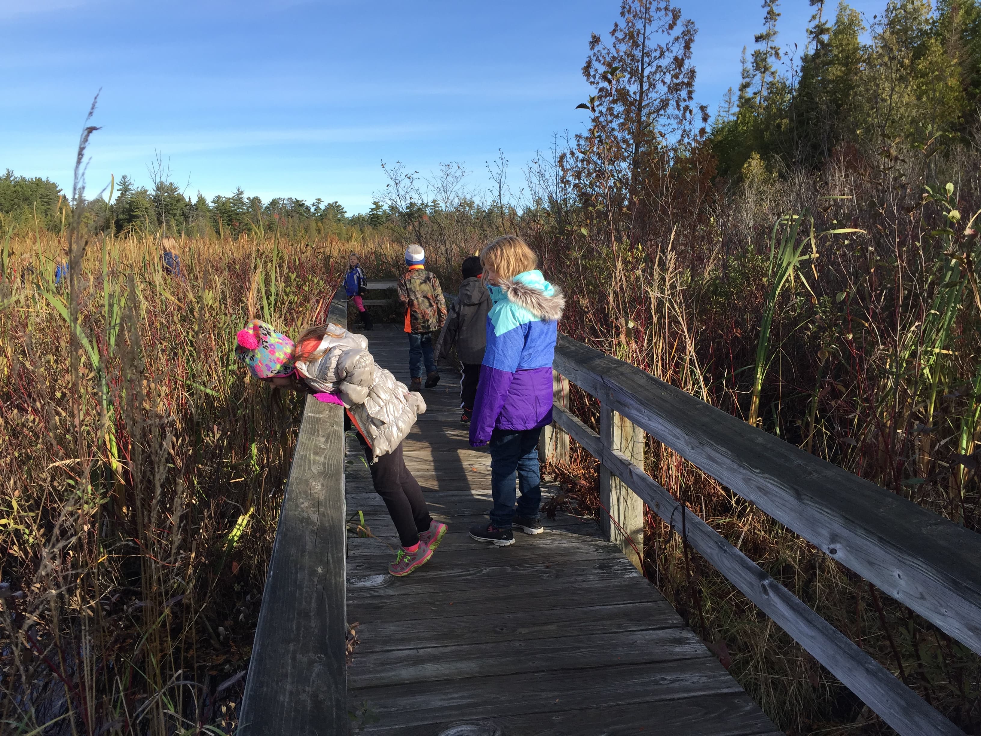 Several children standing on a wooden boardwalk looking out into the marsh