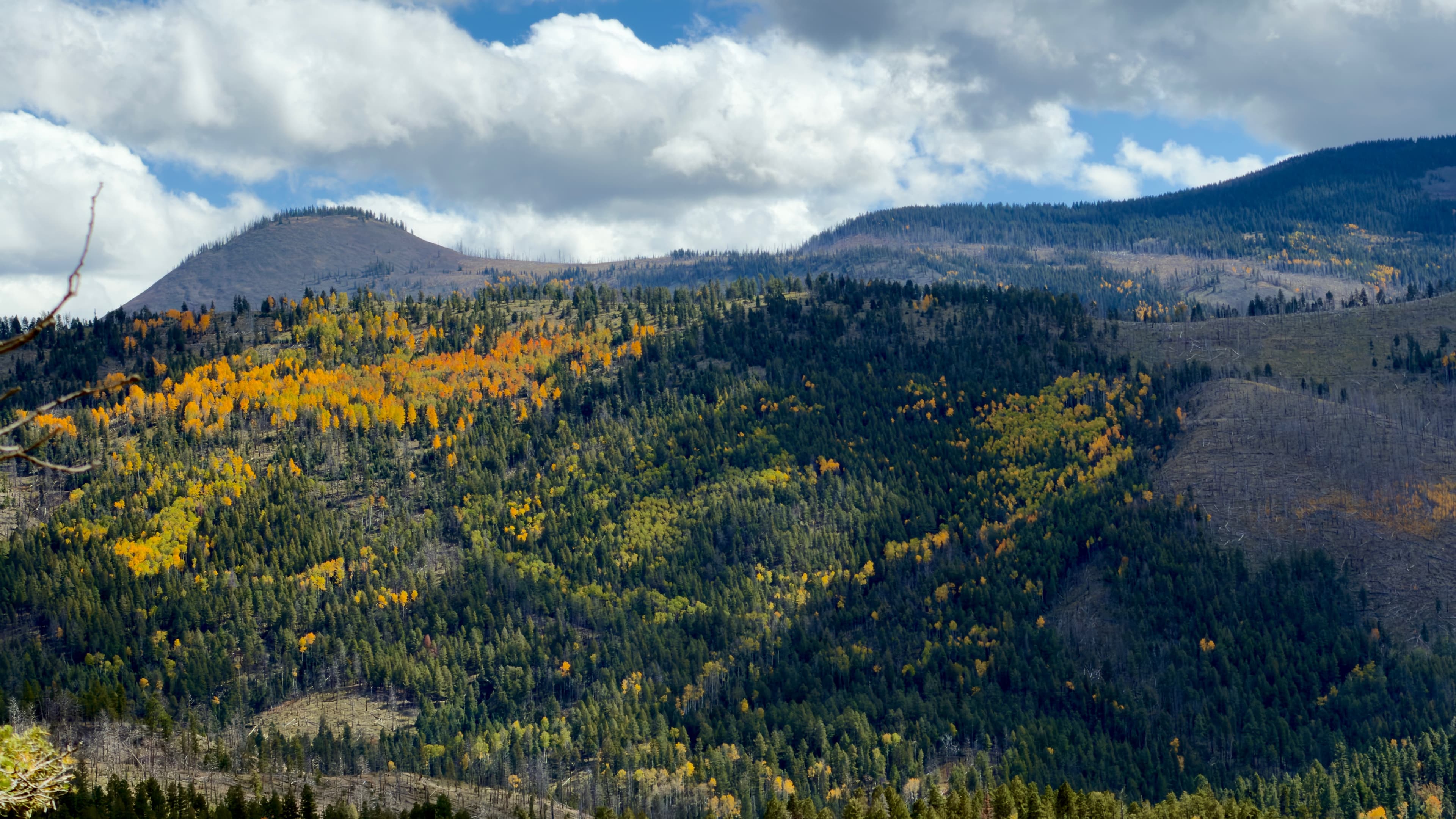 Fall colors mixed in with evergreens in a mountainous view