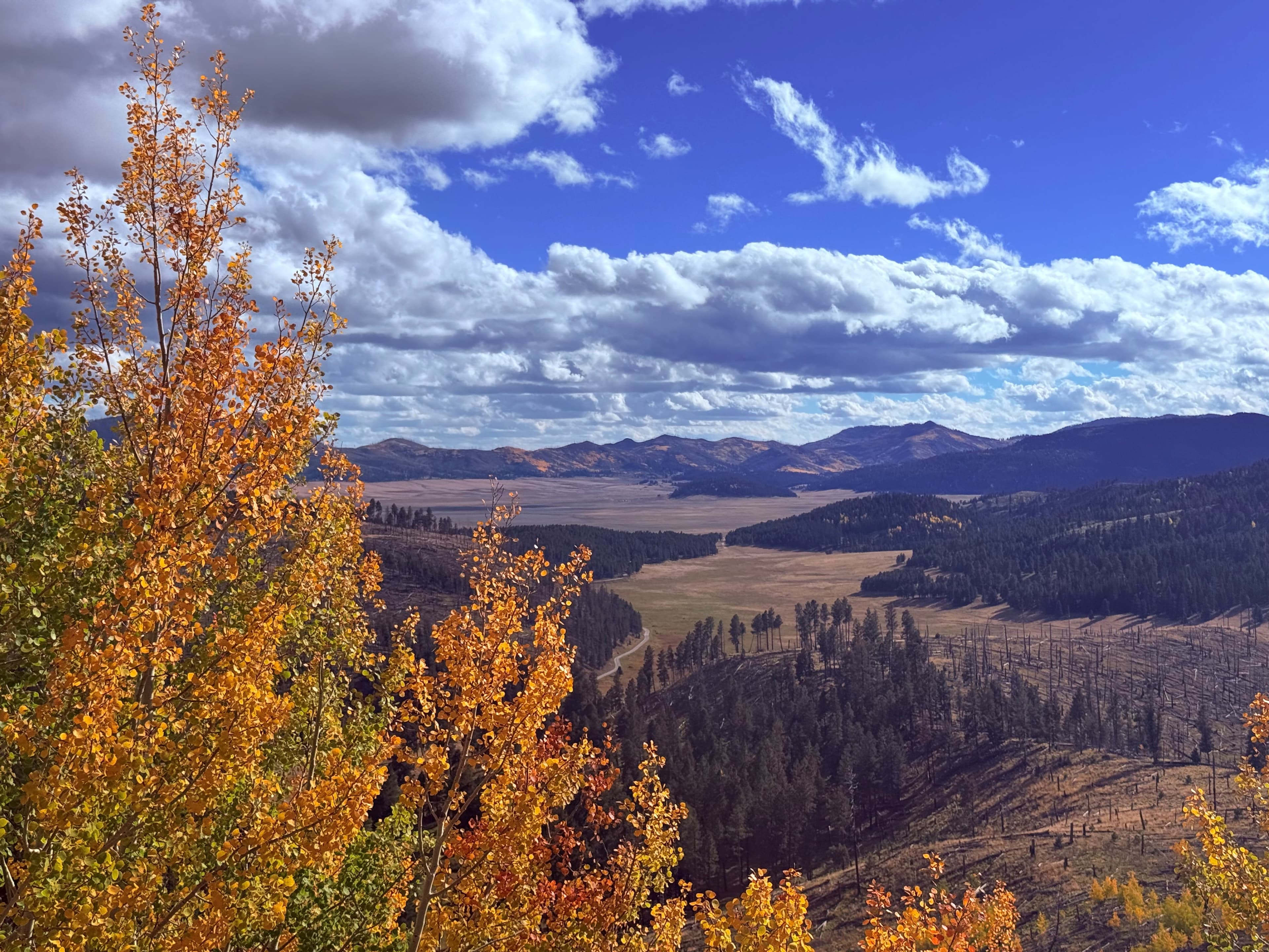 A vast, mountainous view with colorful trees in the foreground.