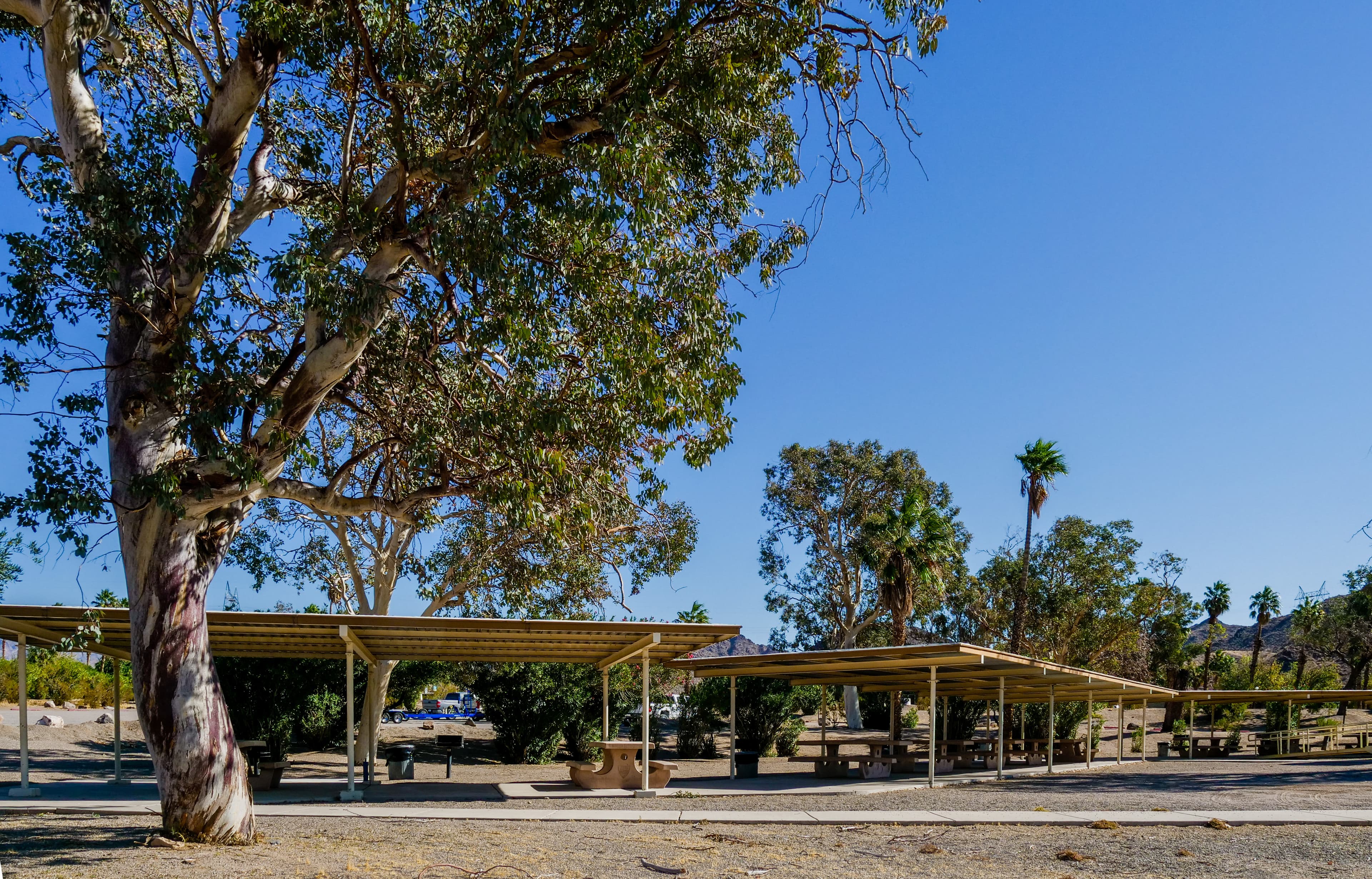 picnic shelter