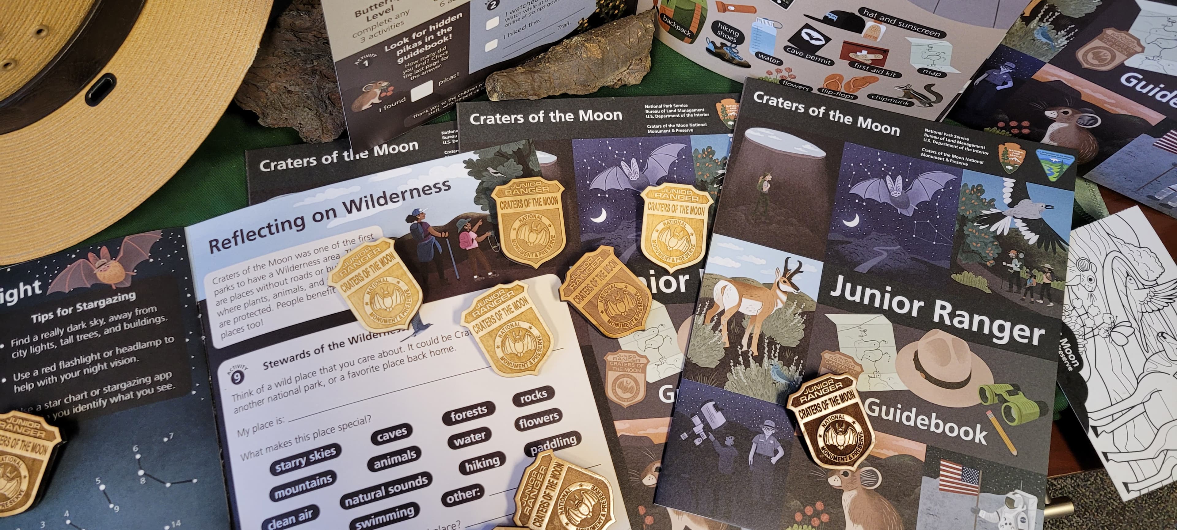a display featuring a junior ranger guidebook and several activities and junior ranger badges