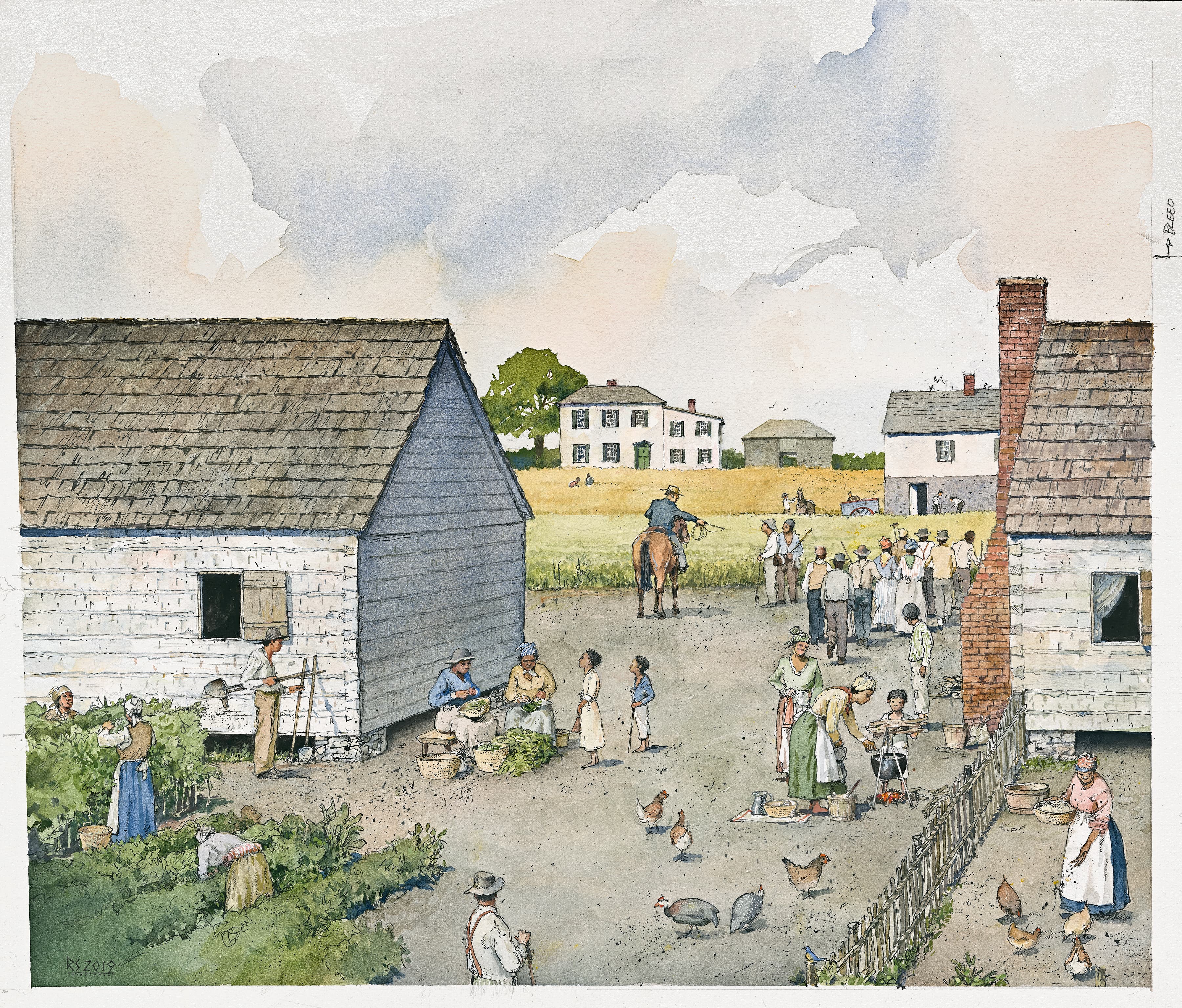 A group of enslaved black laborers tend to a garden and feed chickens in front of two white cabins.