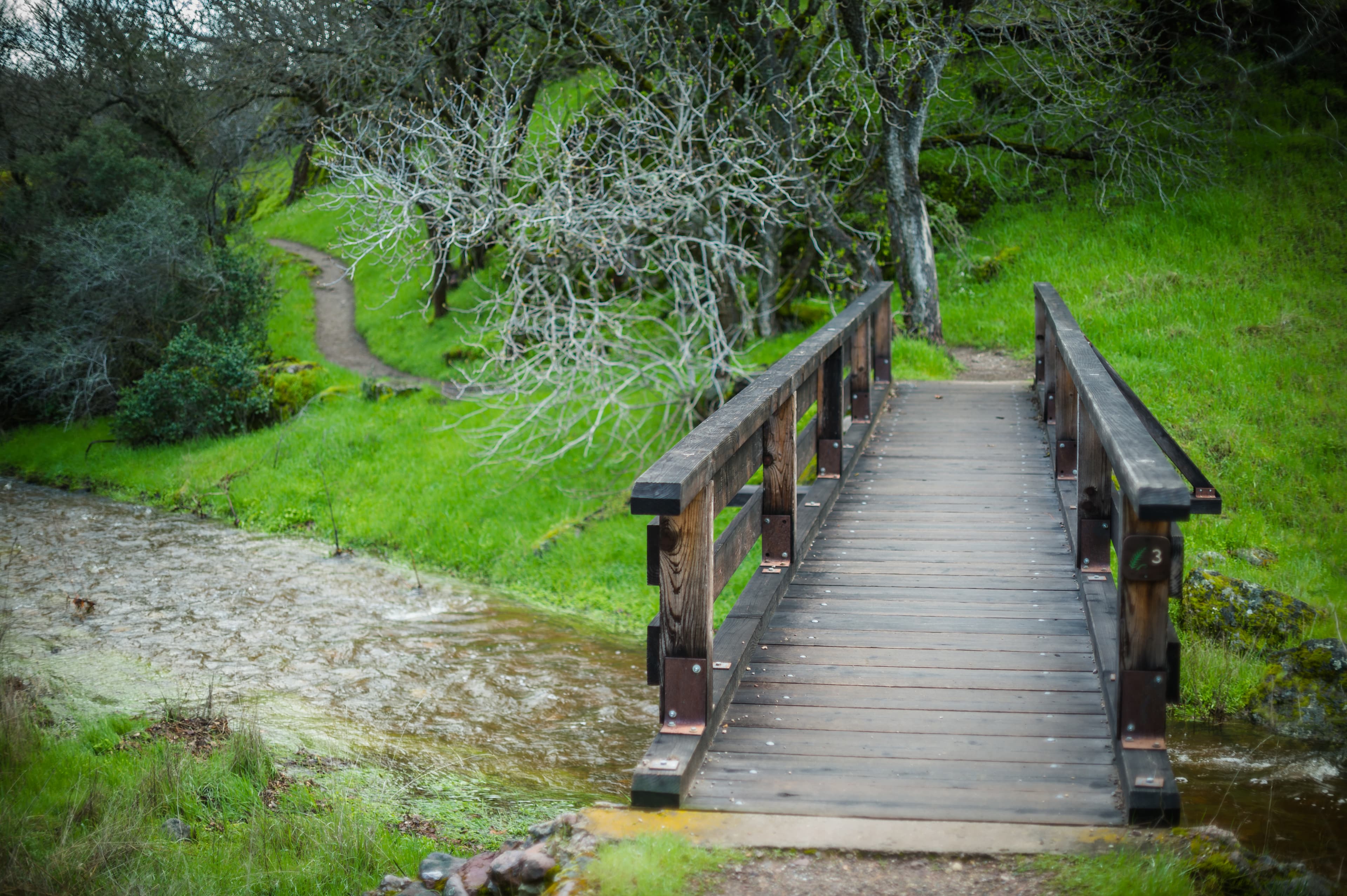 Wooden bridge crossing over a creek to a dirt trail winding around a green hillside