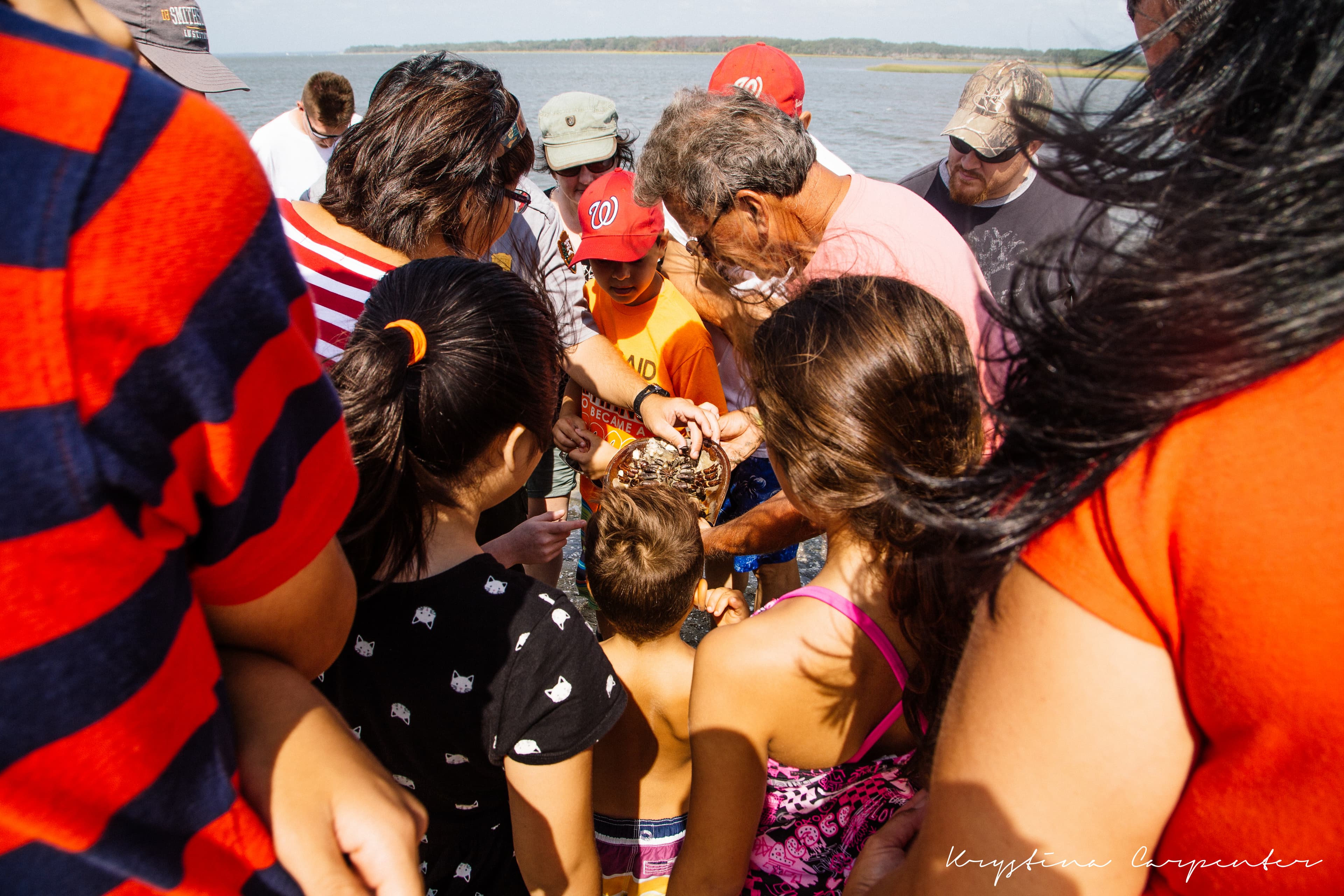 Visitors gather around a Ranger holding a horseshoe crab