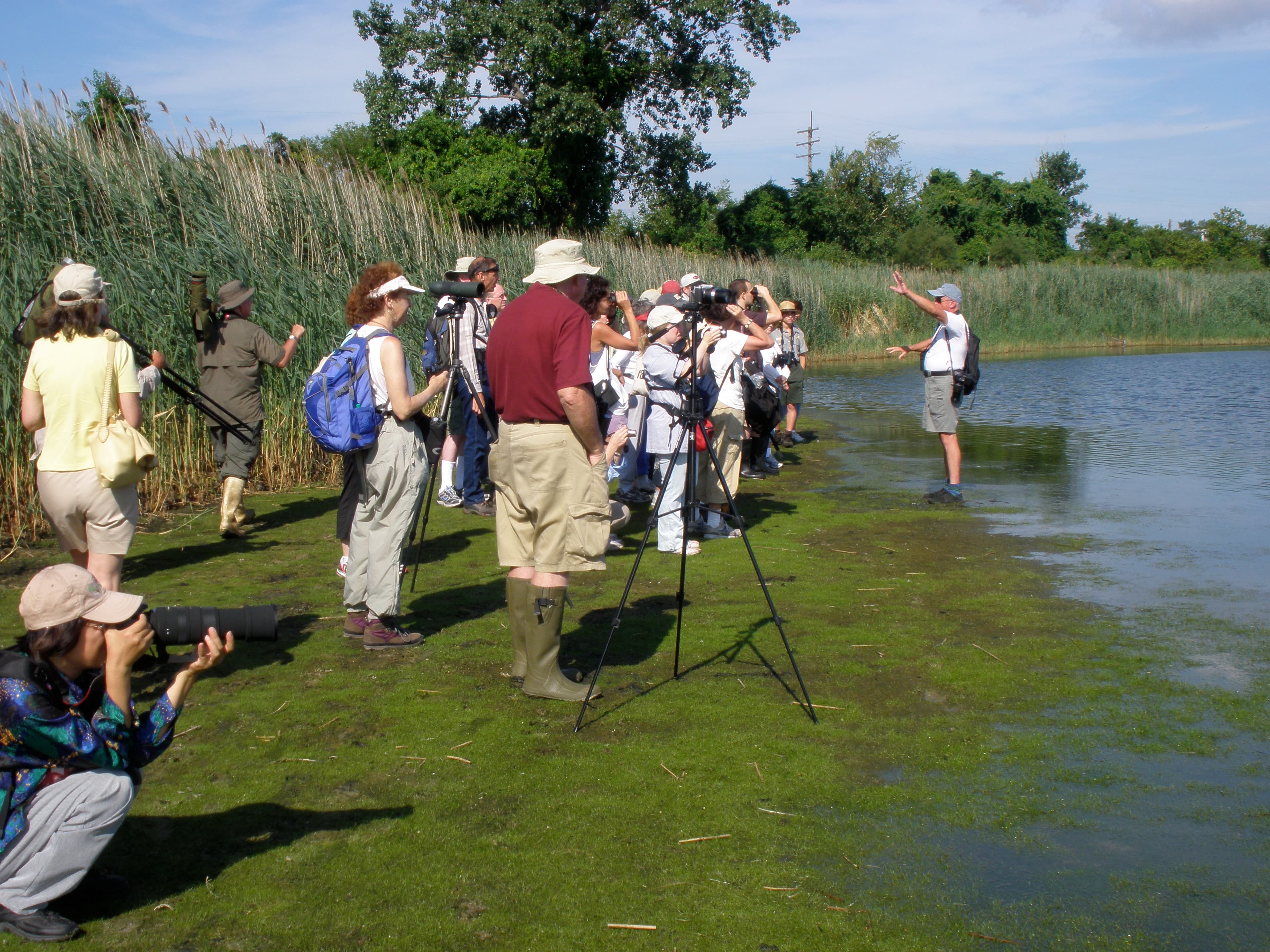 Group of birders at the Jamaica Bay Wildlife Refuge on shore of the East Pond