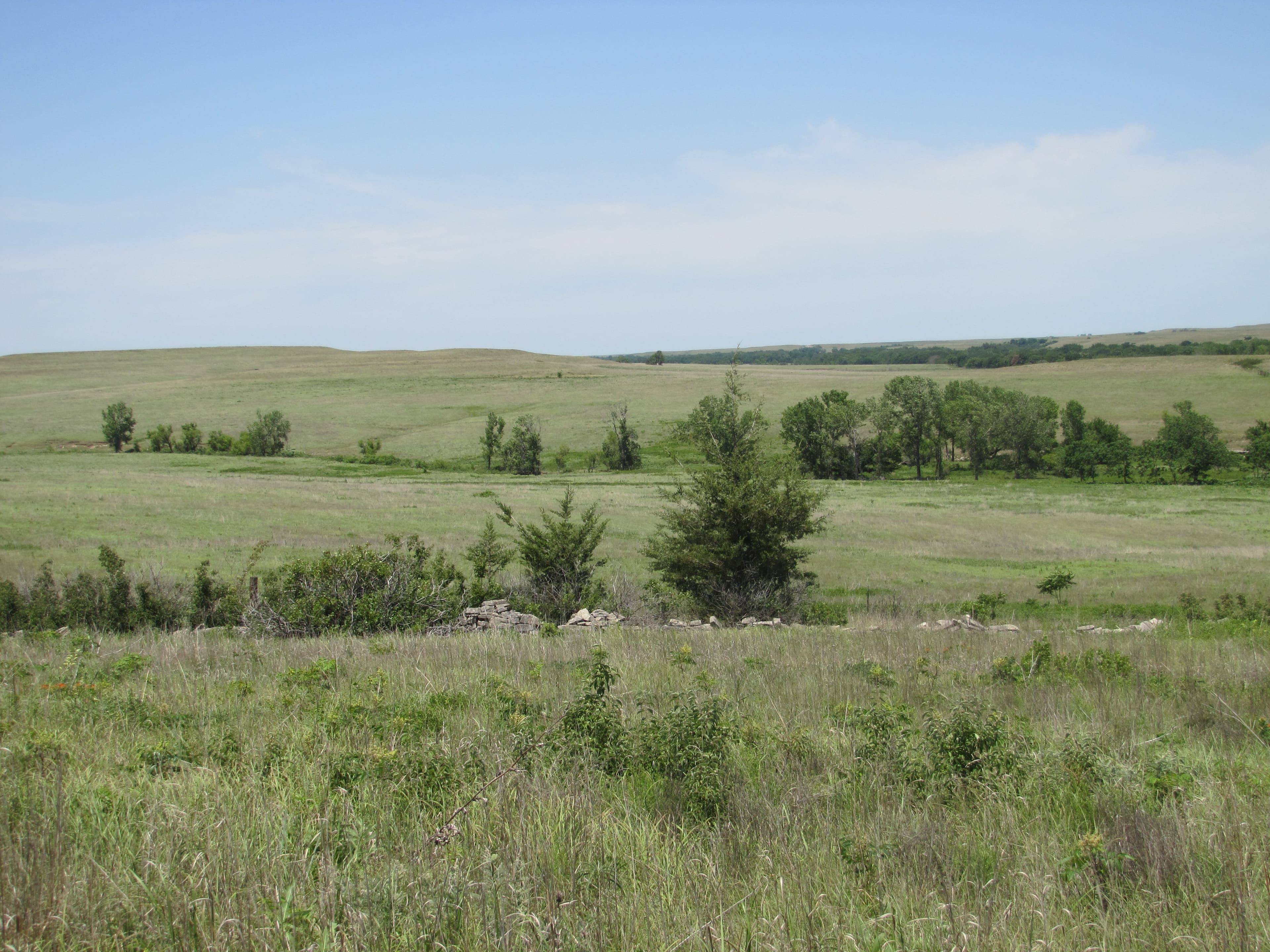 Mowed and gravel path make up the Southwind Nature Trail.