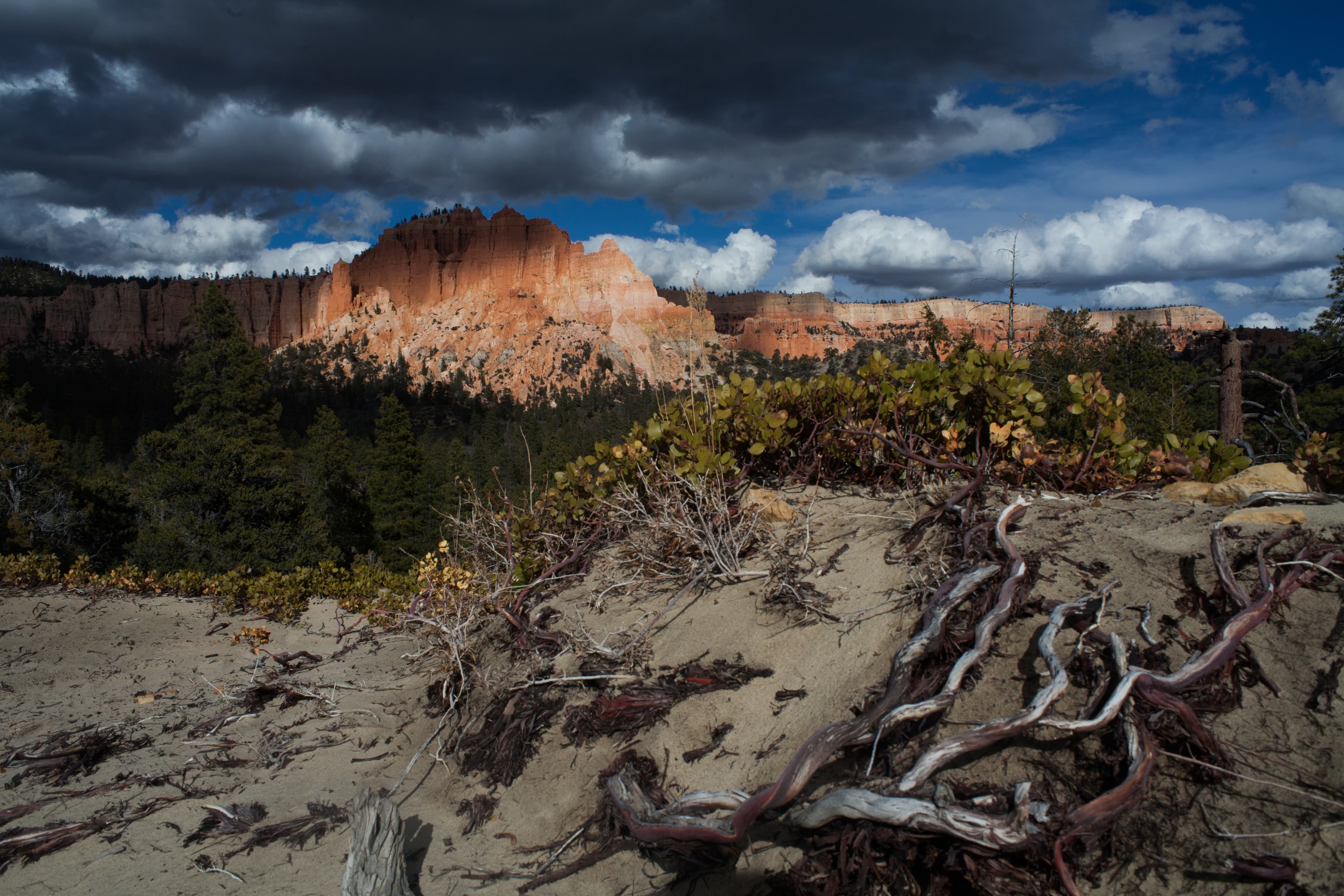 A large formation of red rock partially in shadow with threatening storm clouds above it