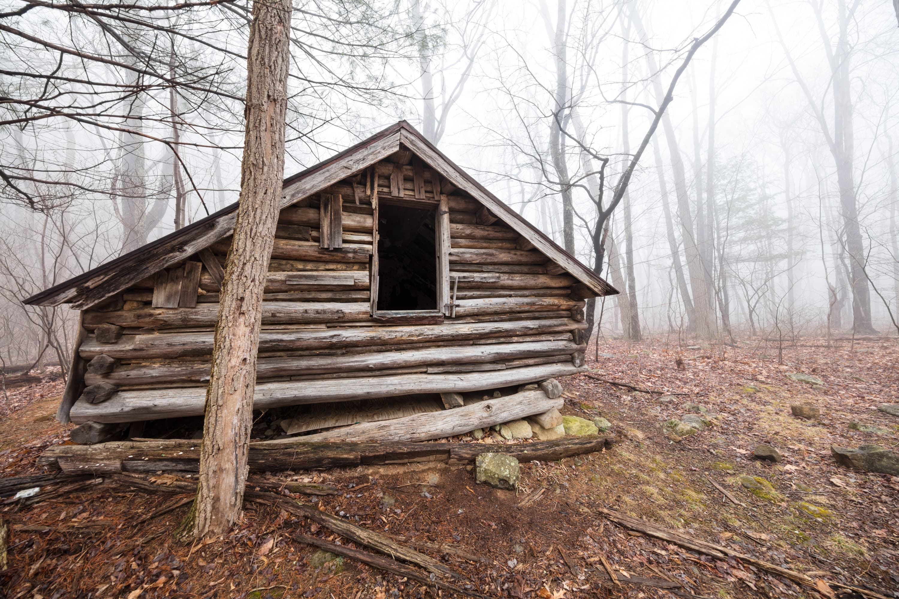 An old, decaying log building is shrouded in fog in the middle of the woods.