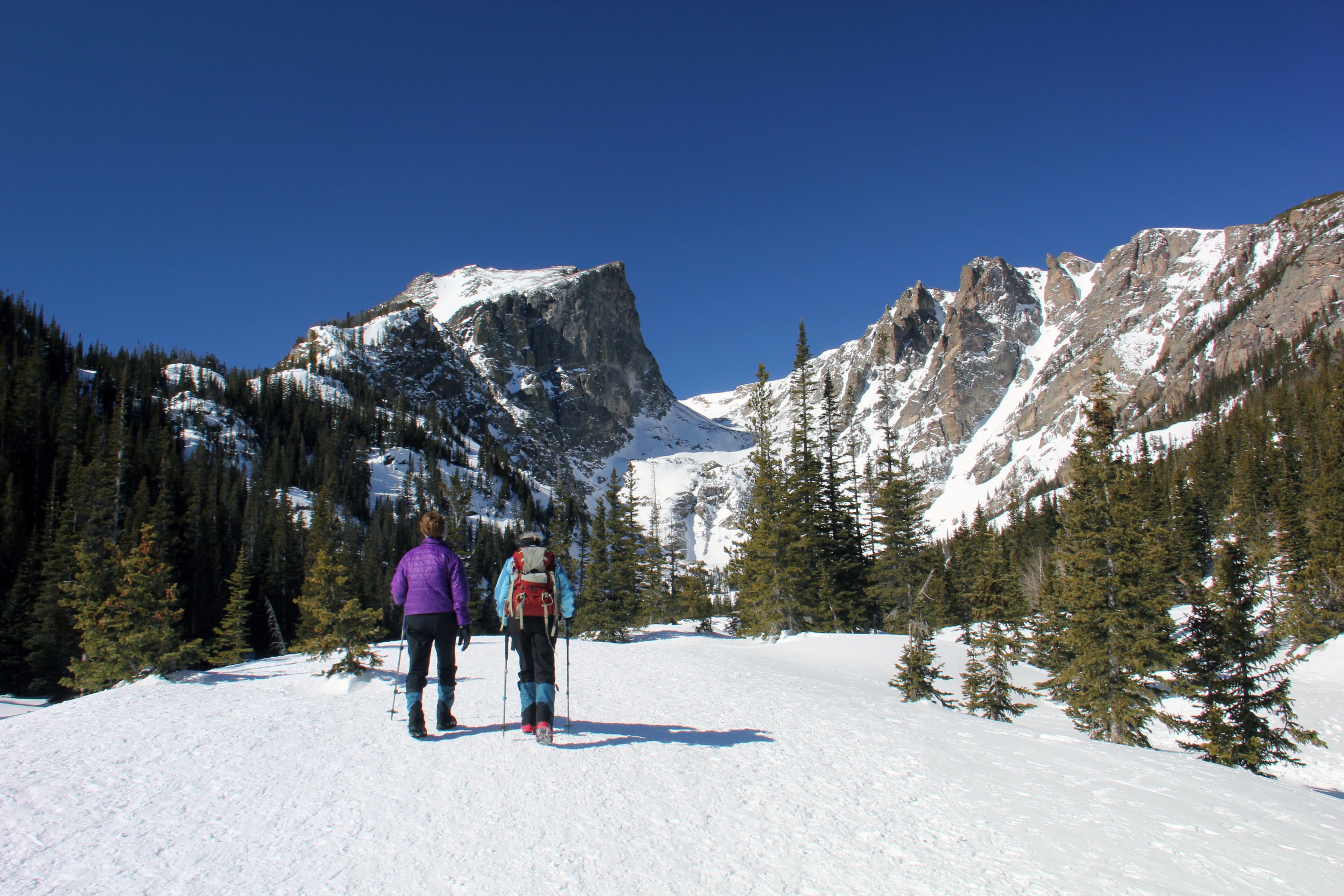 Two people are snowshoeing