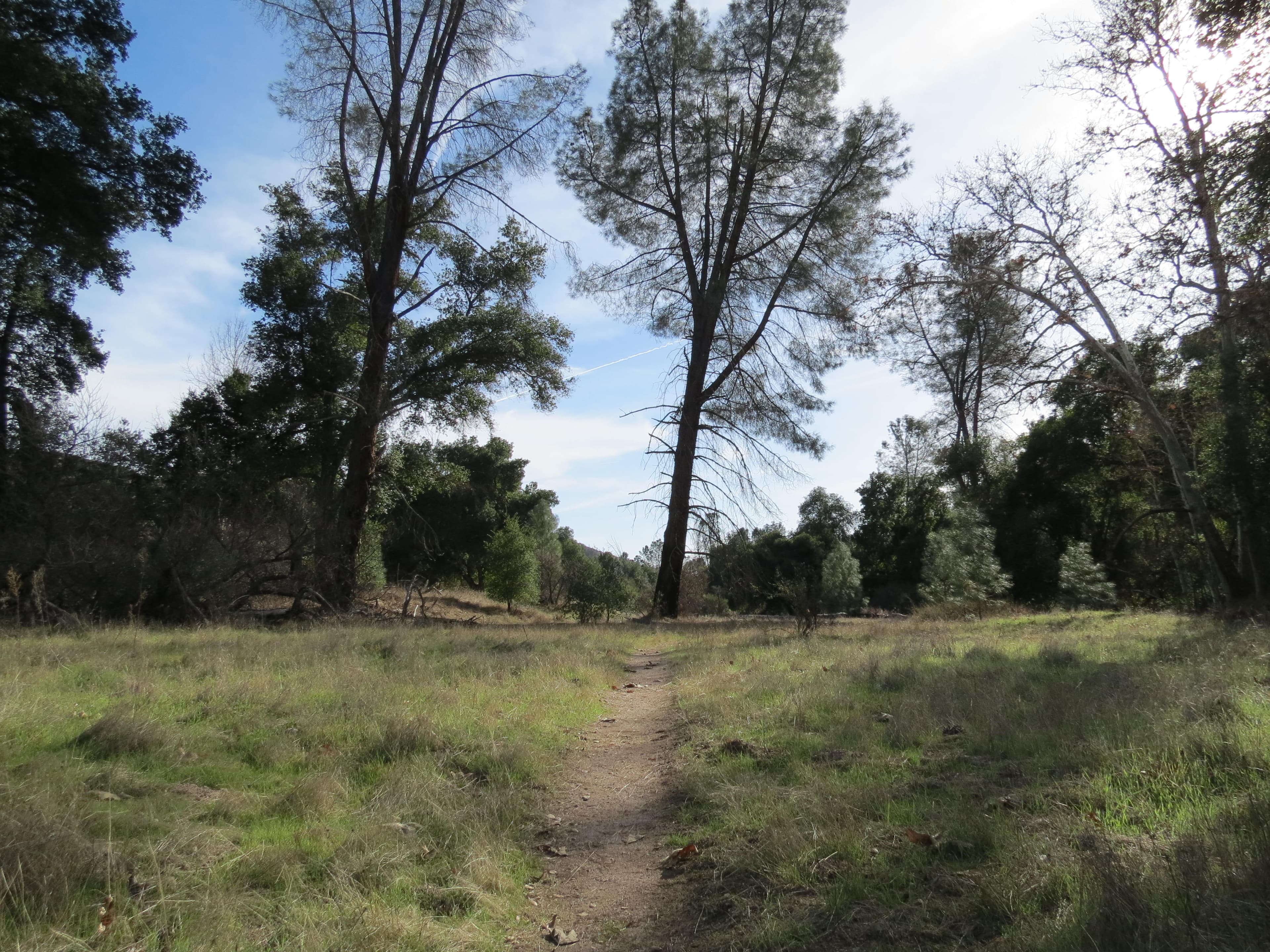 Narrow dirt trail in open grassland leading into oak woodlands