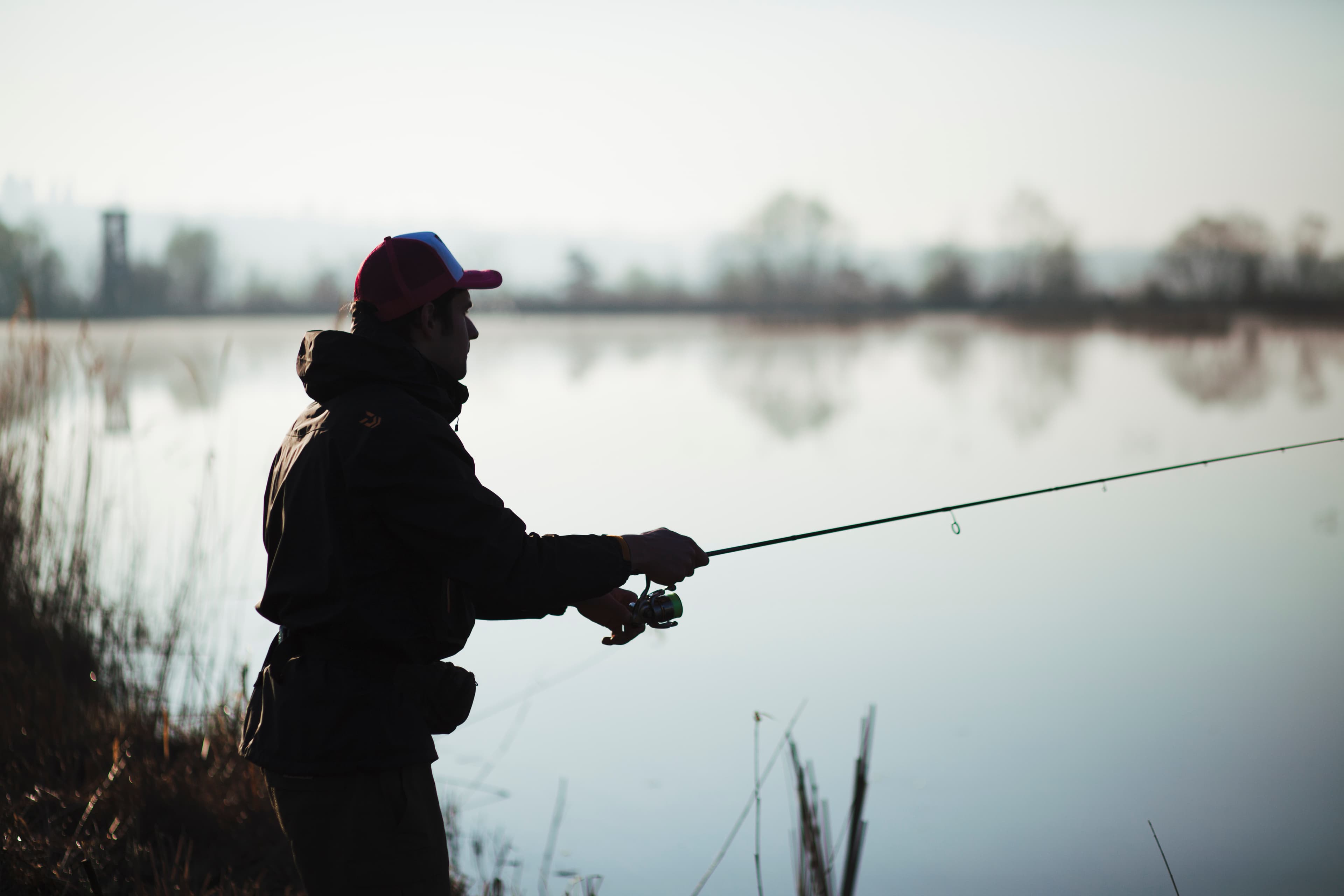 Find a great spot on the lake to go fishing.