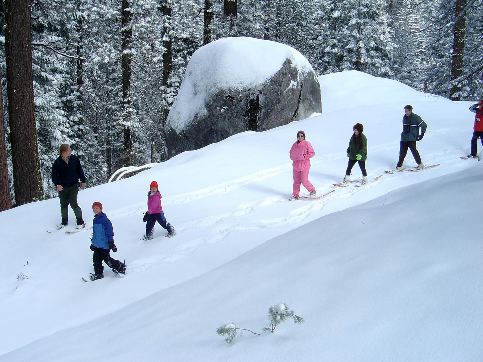A group of visitors walking down a snowy trail.