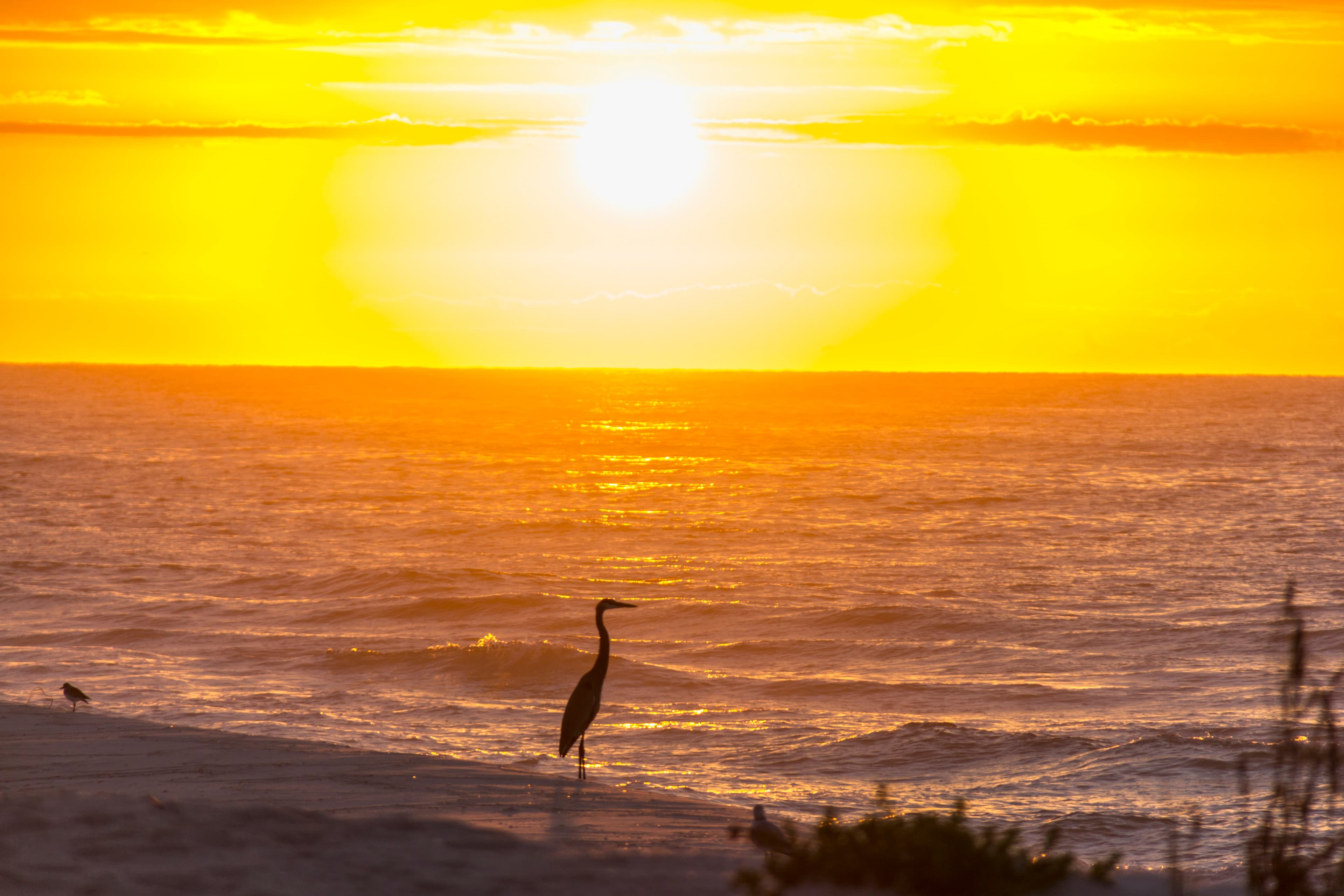Sunrise with water