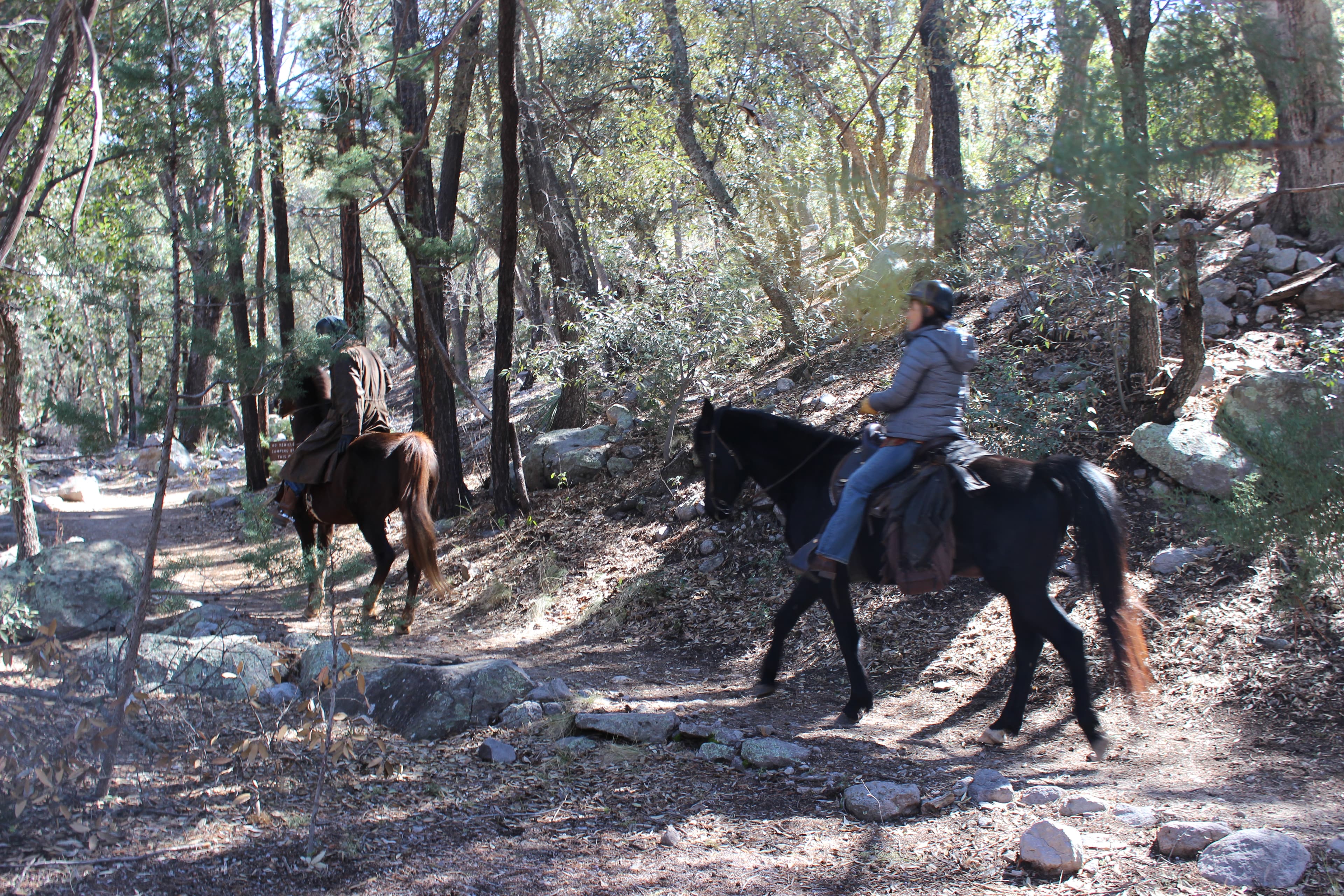 Two people riding horses on a trail