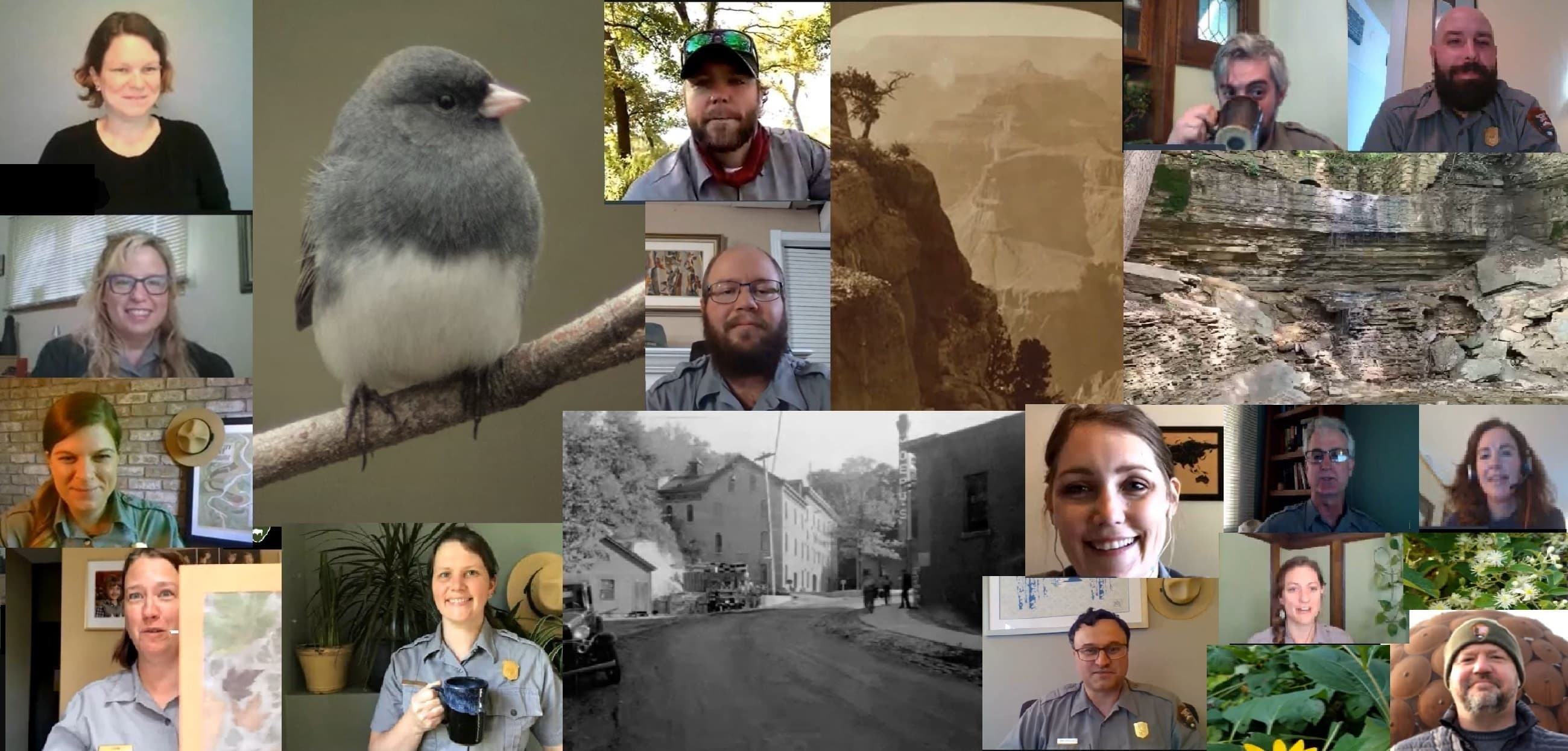 A collage of different park rangers talking.