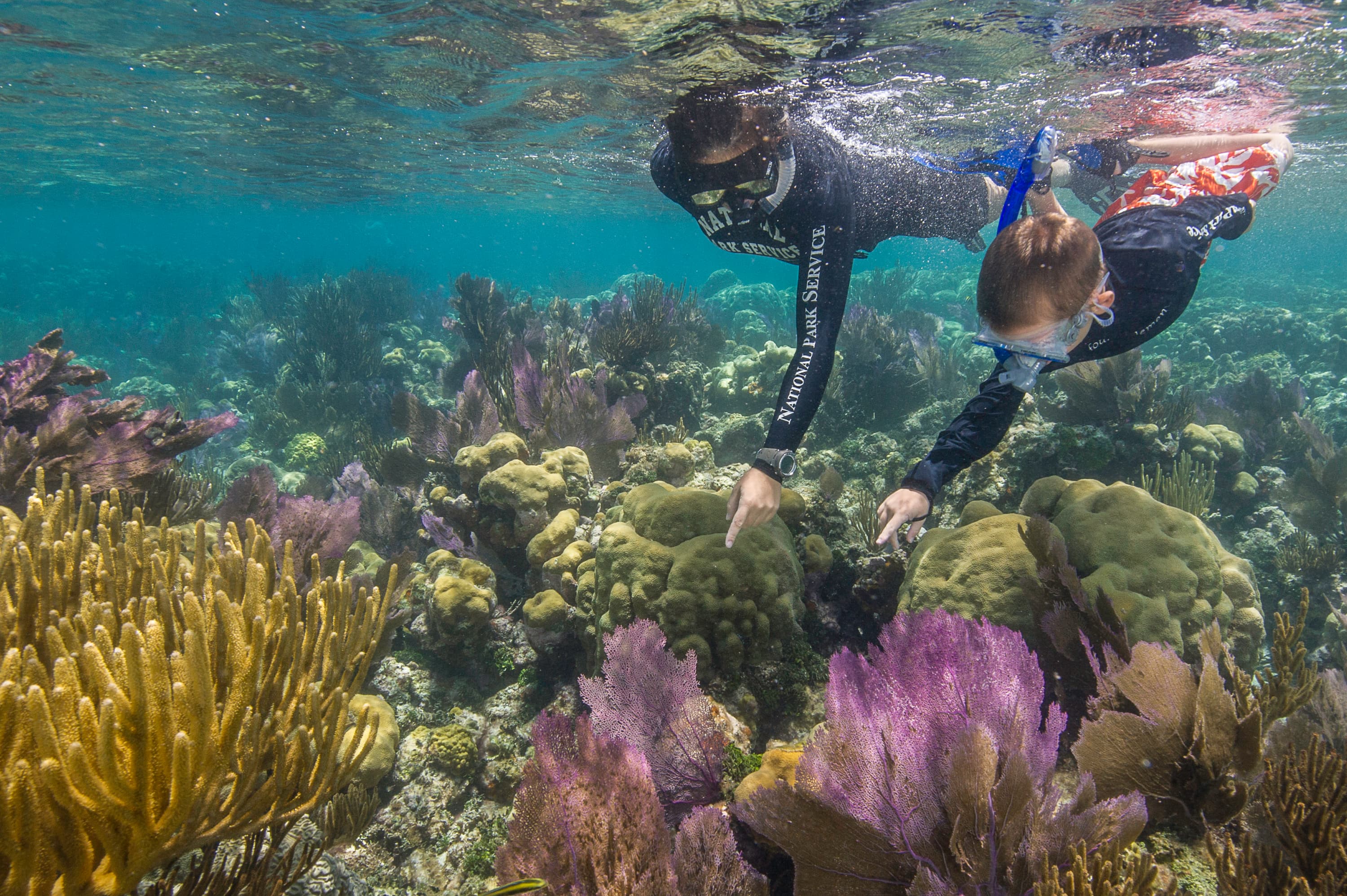 Snorkel Little Africa