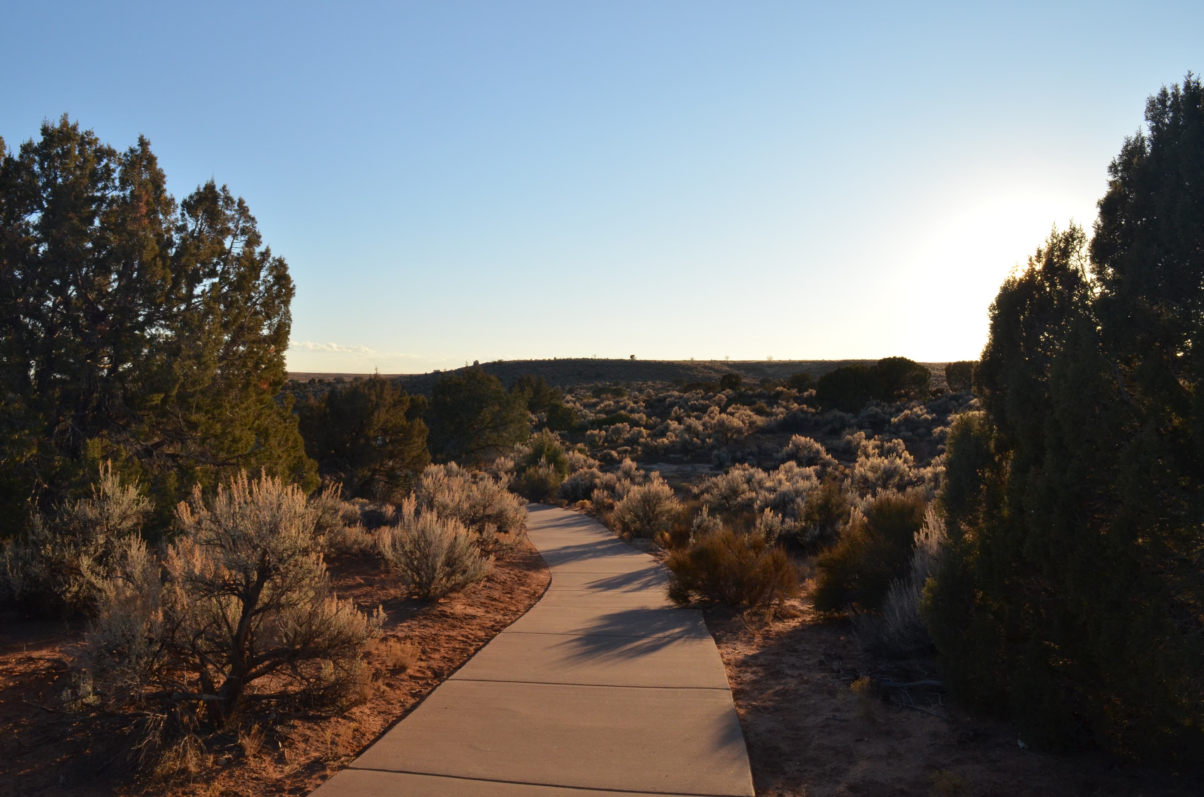 a sidewalk winds through desert landscape at sunset