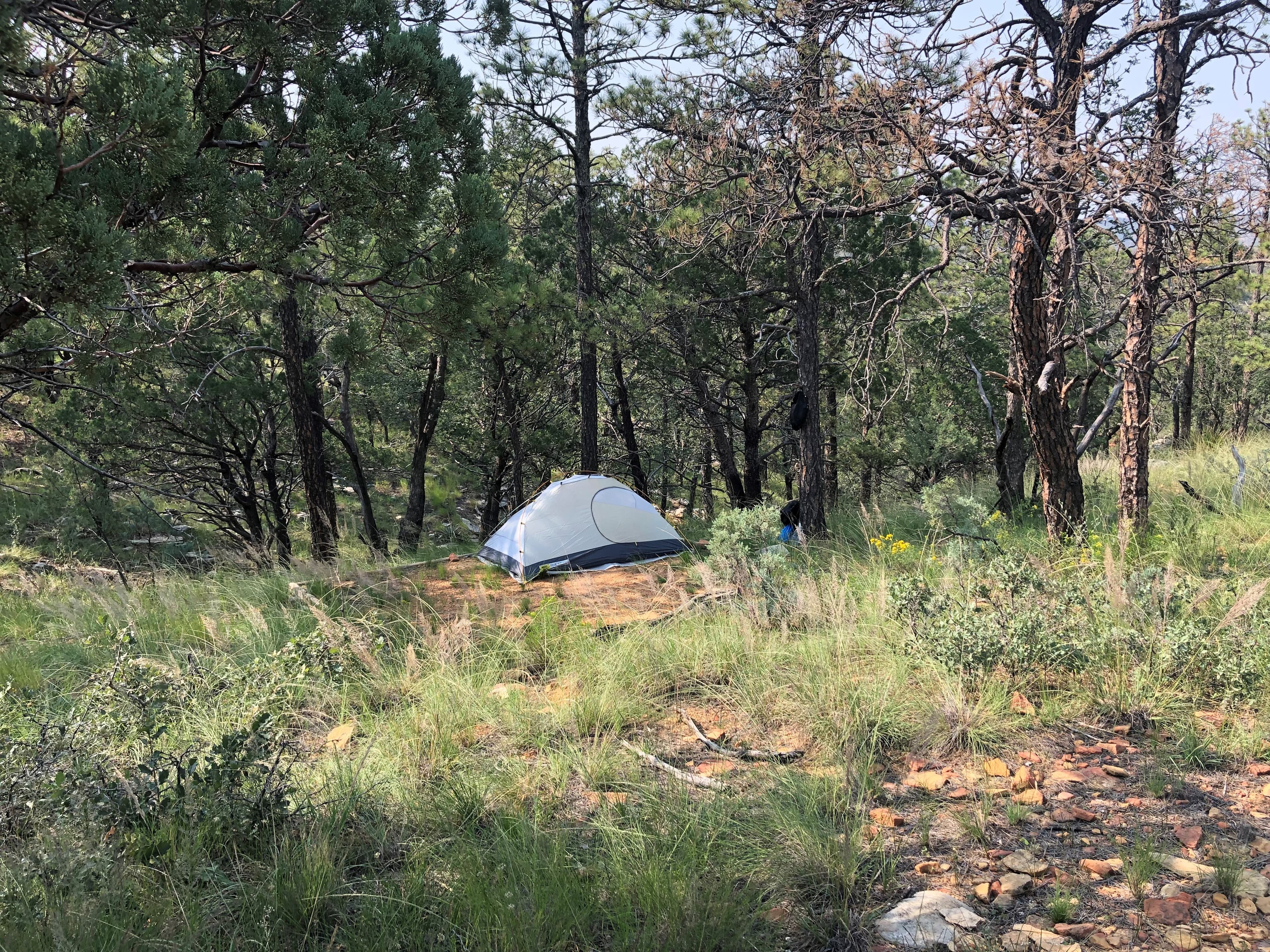 Tent on a dirt pad in a lightly forested environment