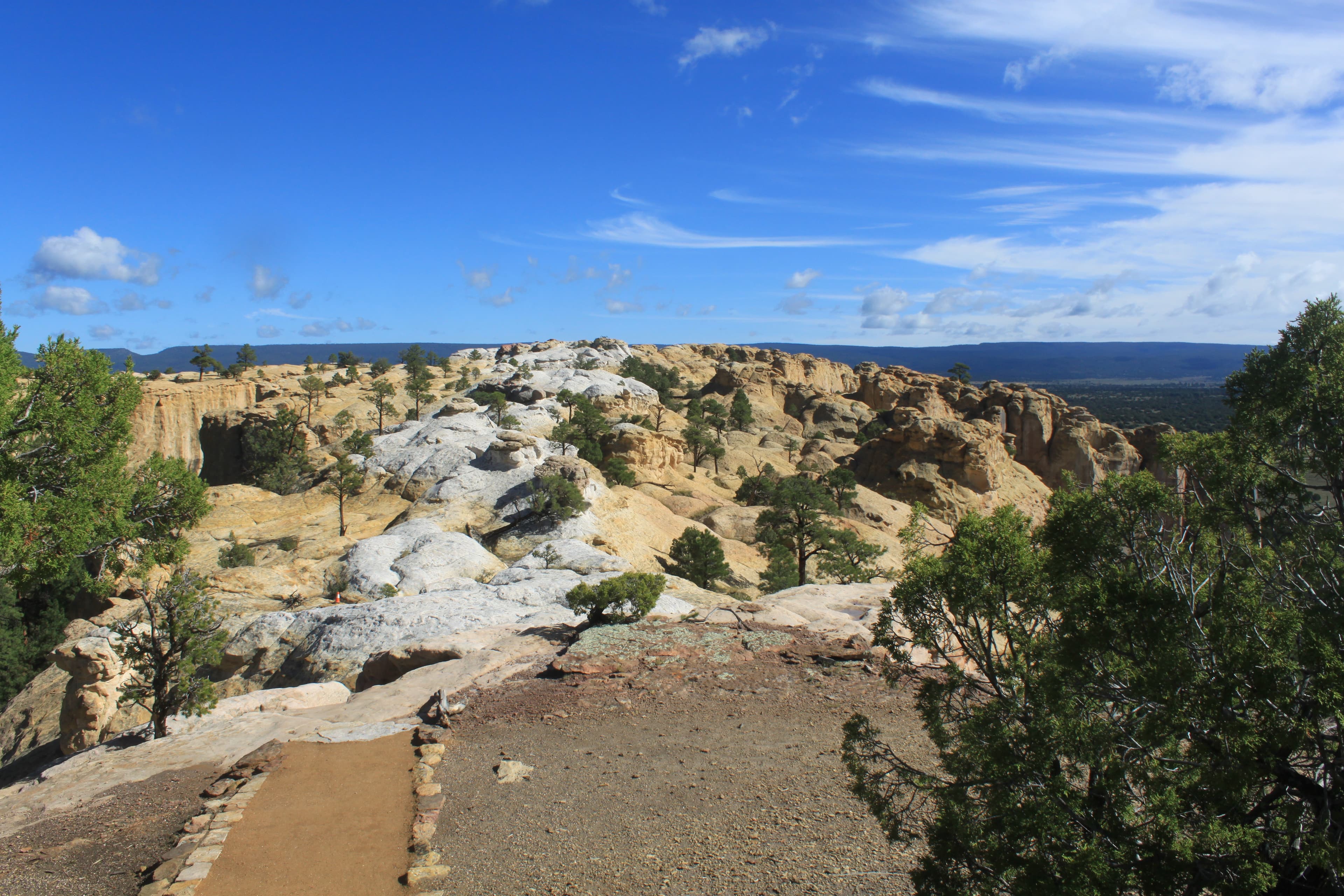 A trail leading towards a sandstone surface with small trees scattered across the top.