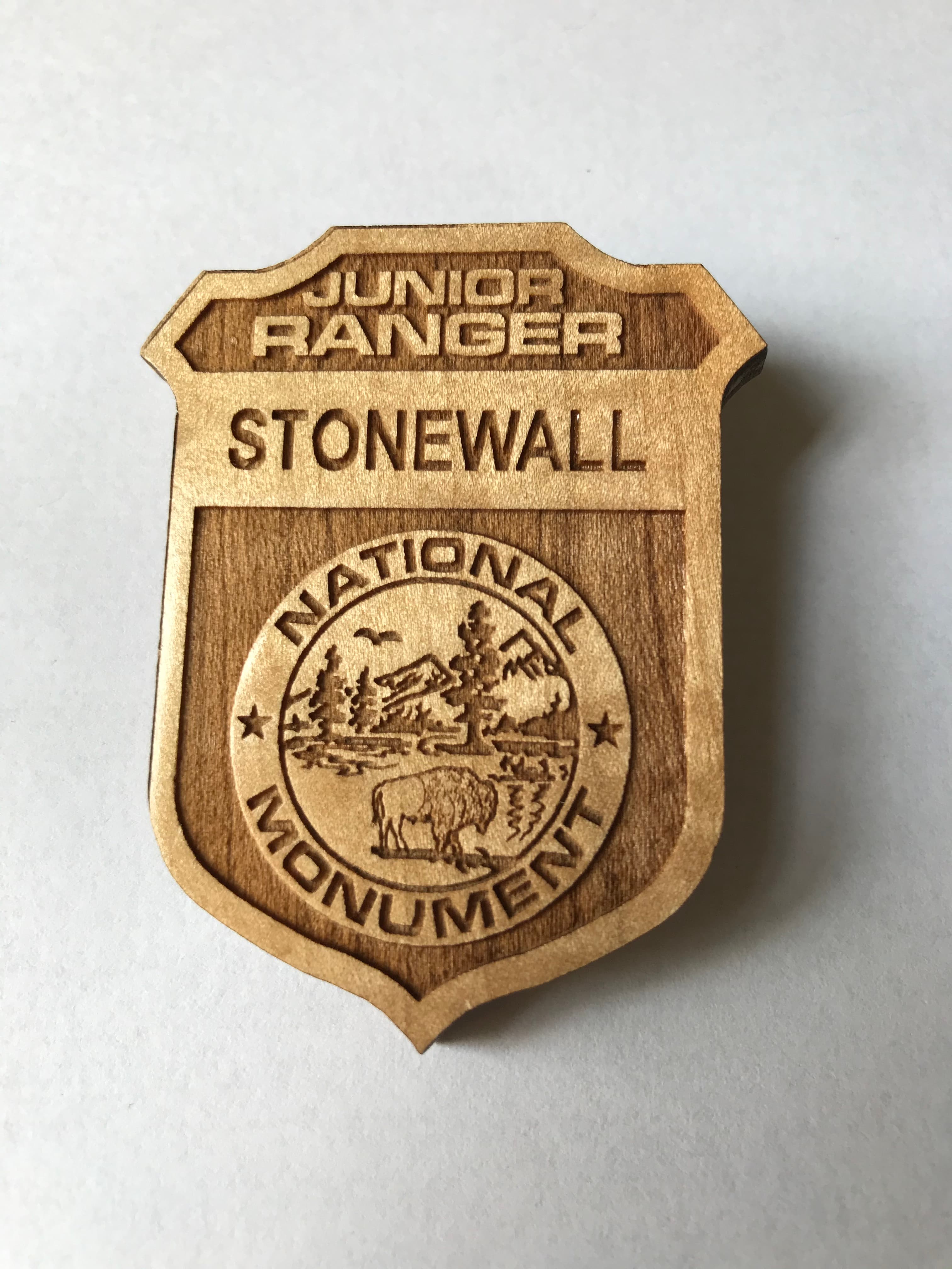 Junior Ranger Badge