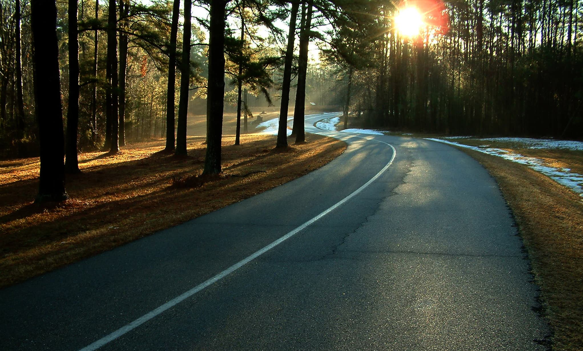 Paved one-way road, with trees along side, and the sun rising to the right.