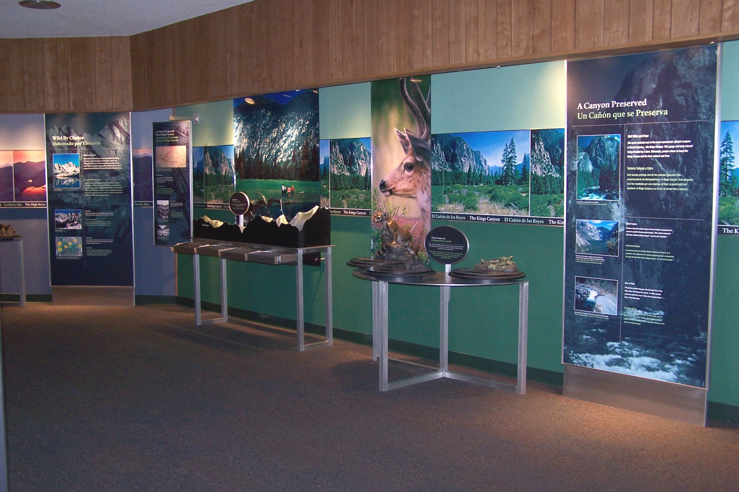 A museum display at Kings Canyon Visitor Center