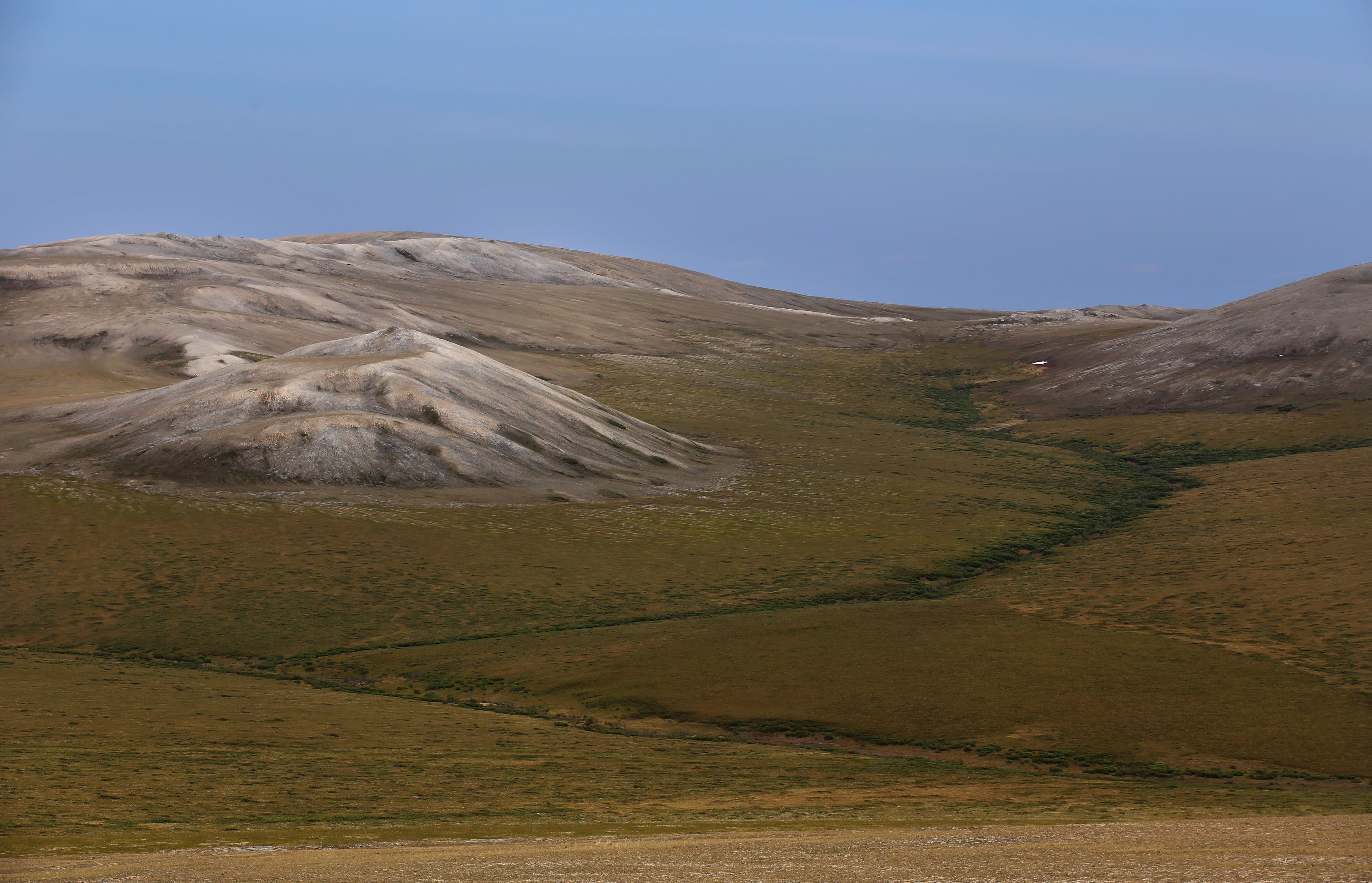 Landscape view of vast green tundra stretching out towards rolling grey hills.