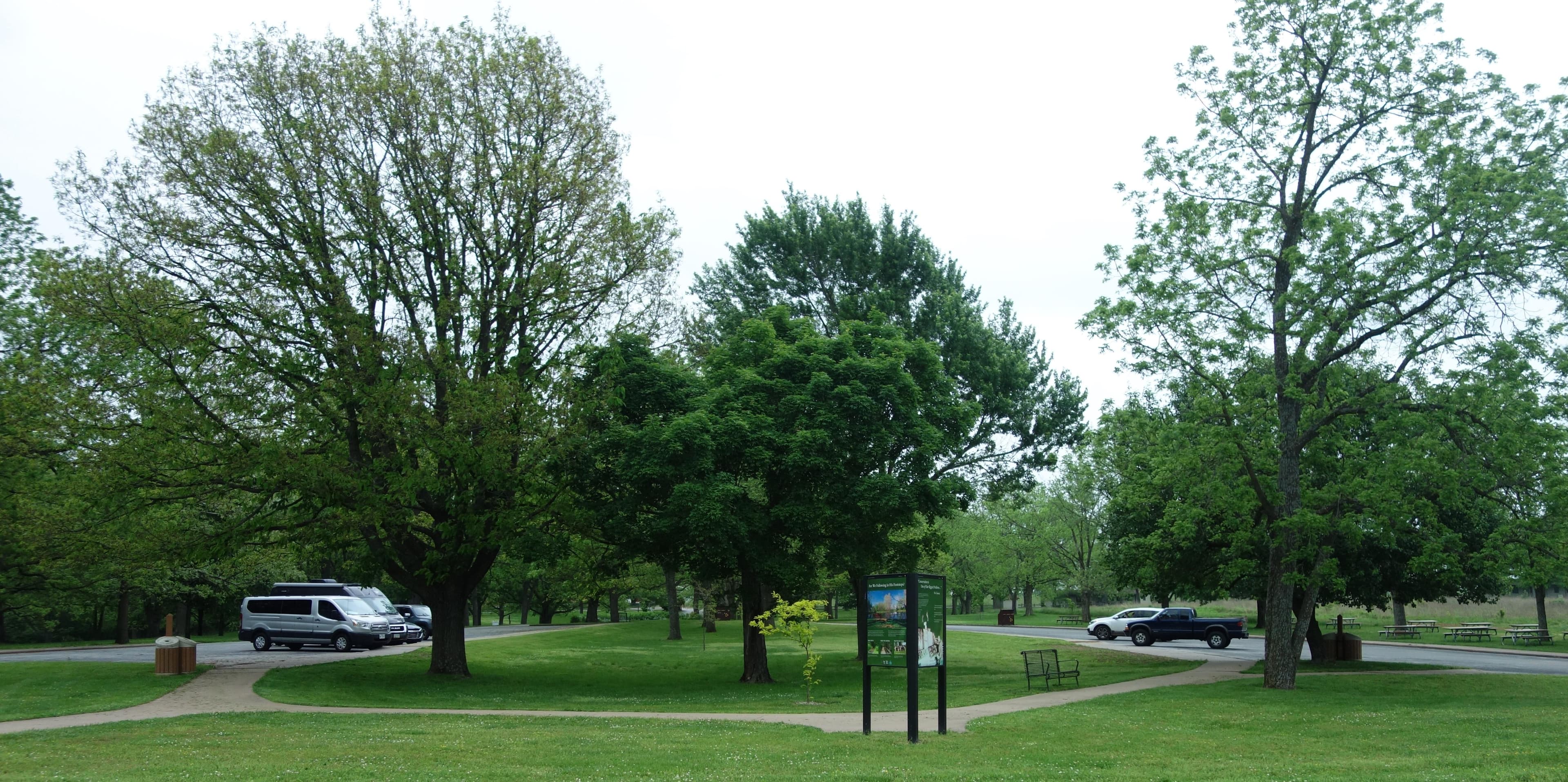 Parking lot with vehicles and trees/