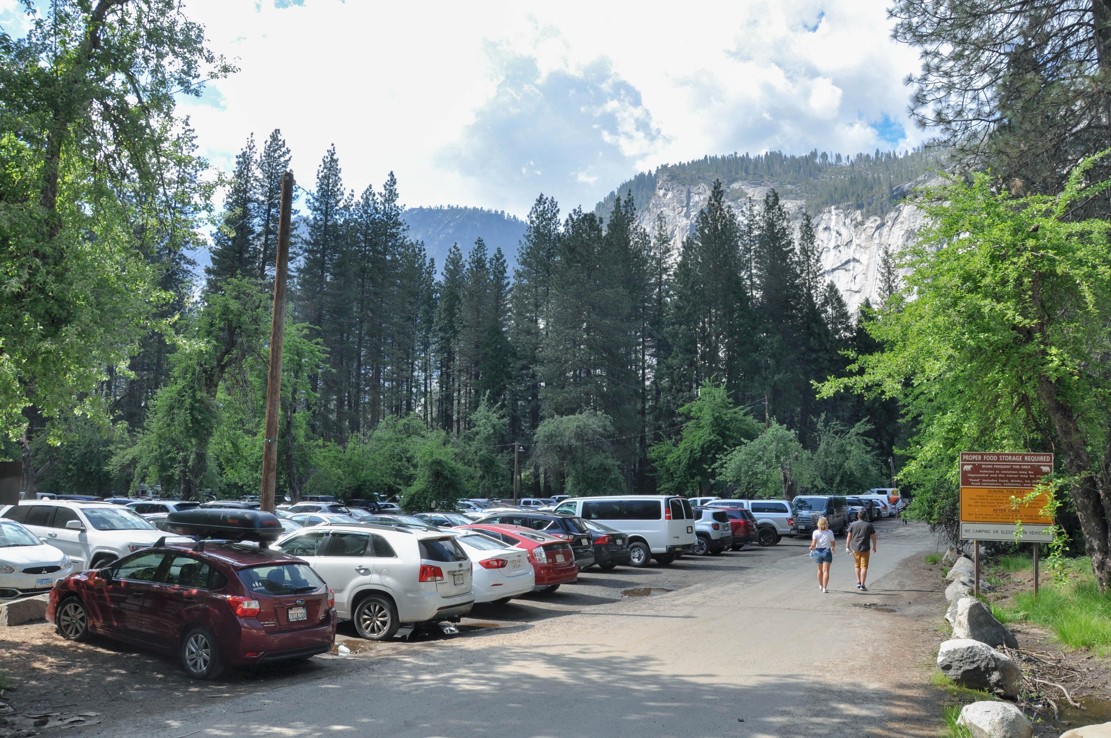 Cars parked in Curry Village Orchard lot