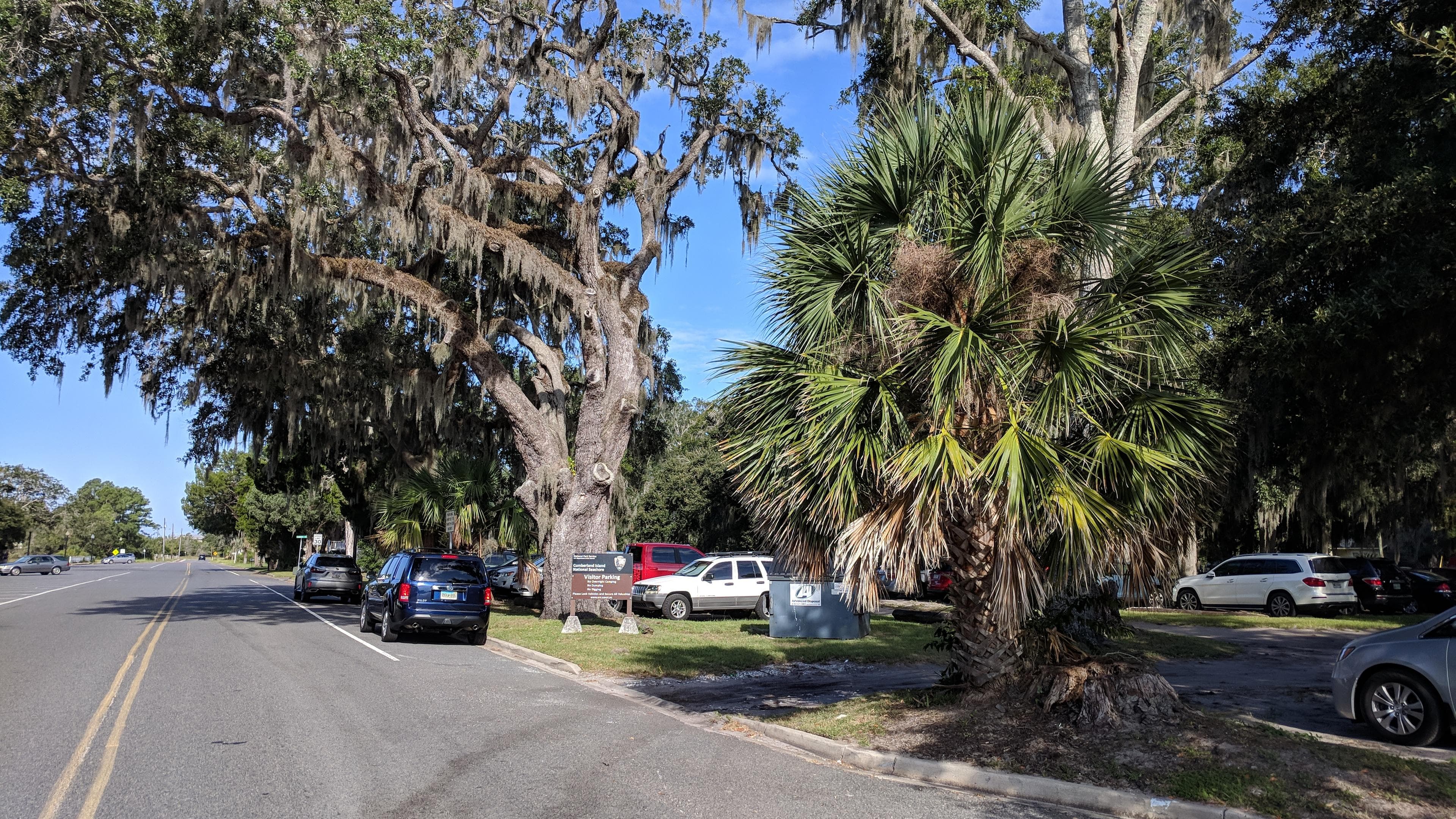 tree covered parking lot with dumpster along roadway