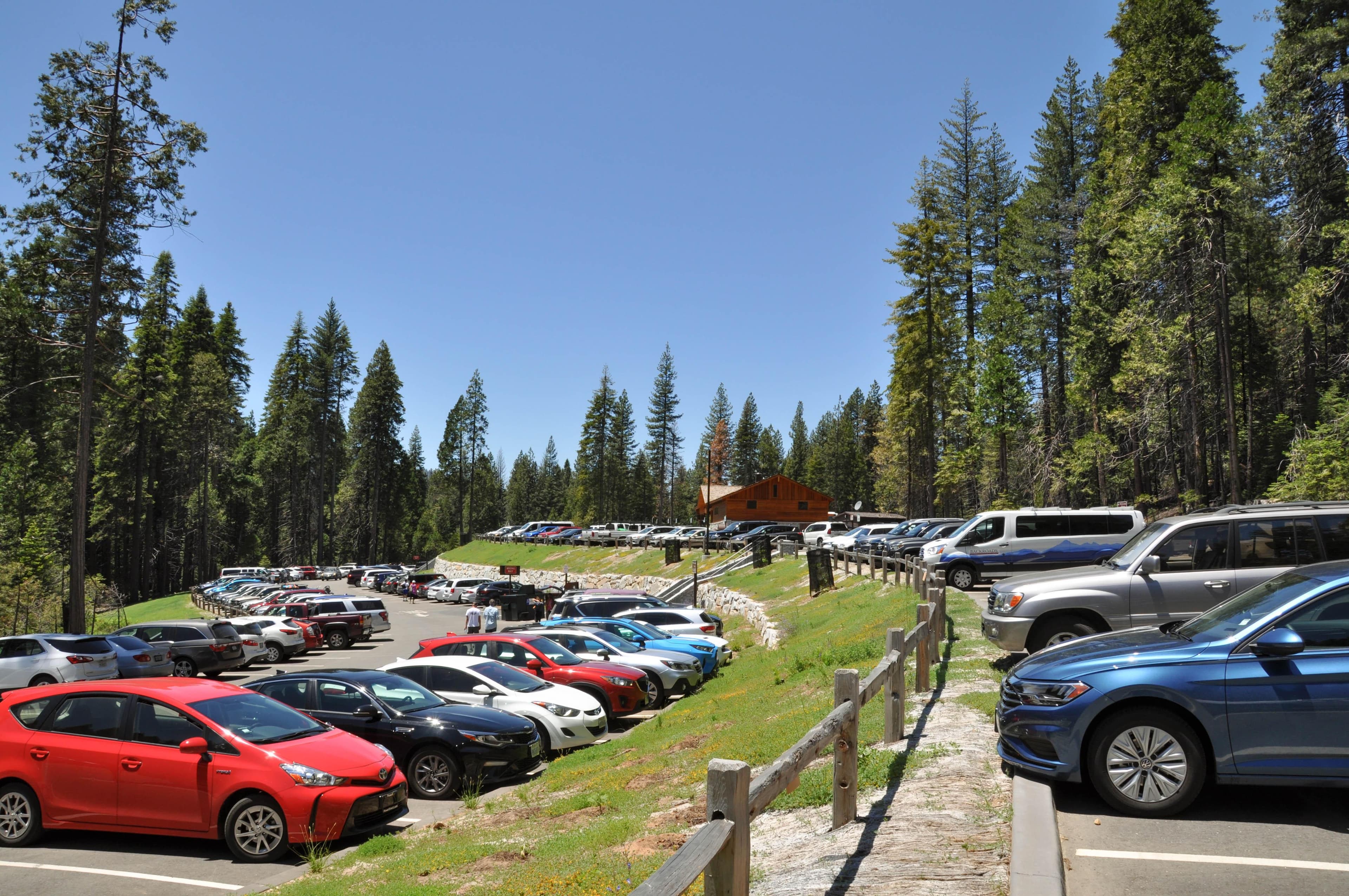 cars parked in lot on a sunny day