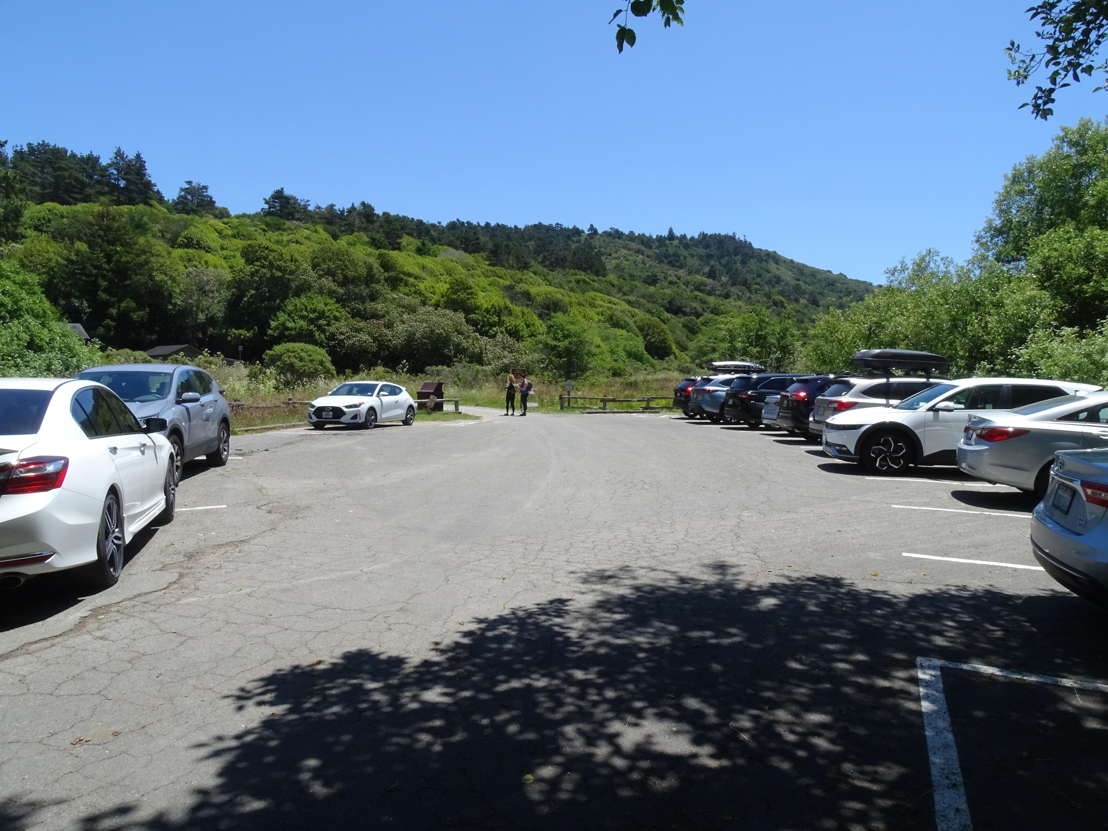 Eleven vehicles in a small paved parking lot surrounded by trees.