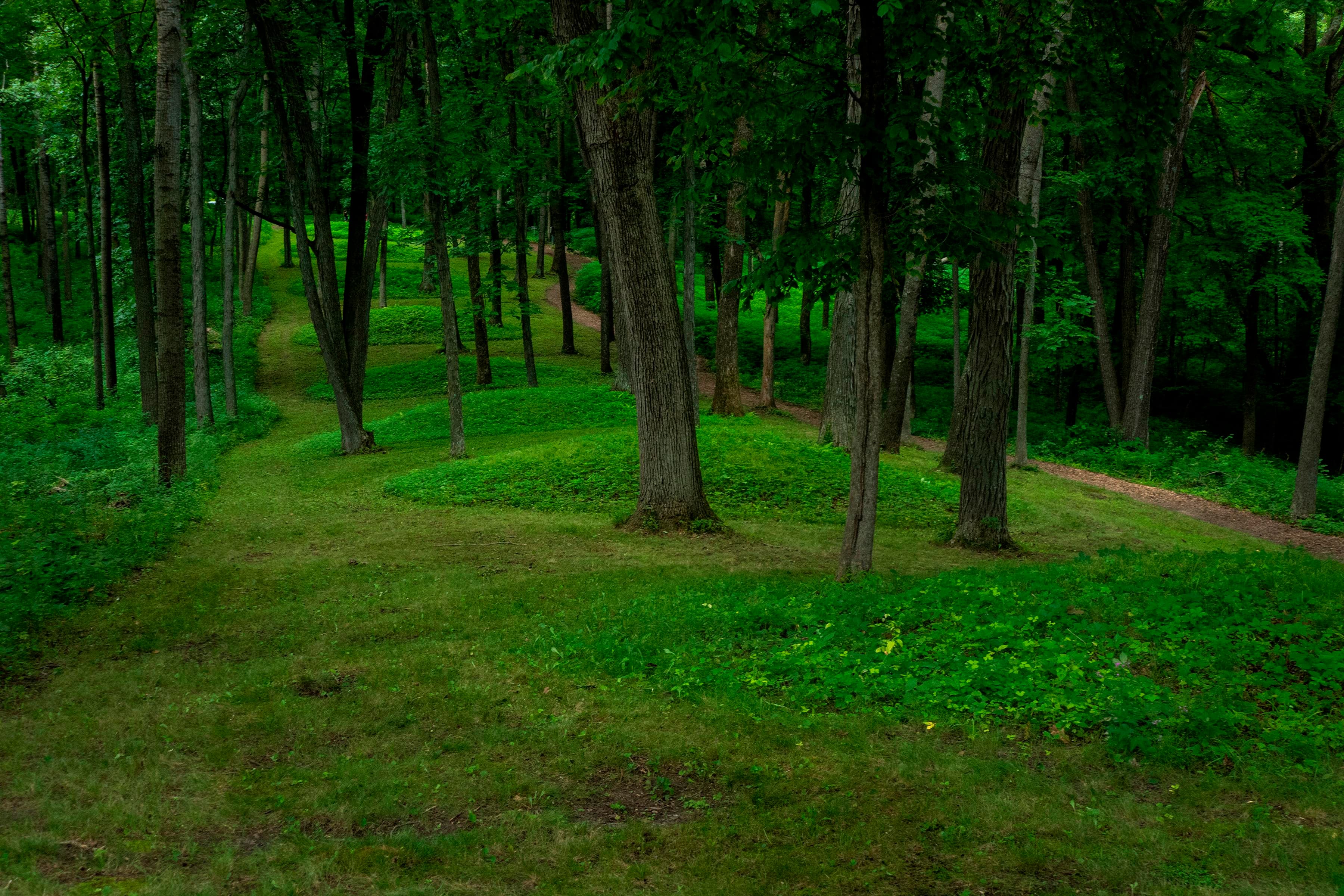 Circular mounds in a single line.
