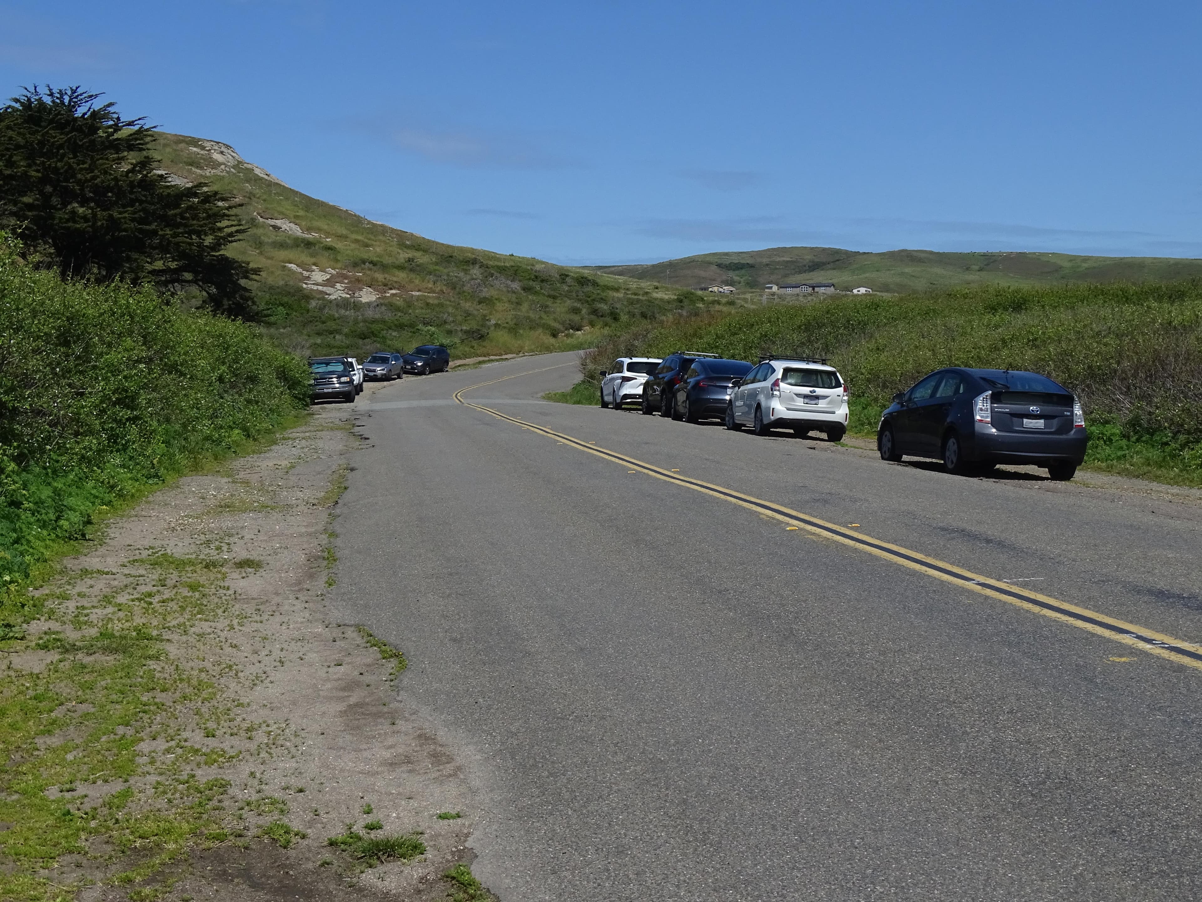Nine vehicles parked on both sides of a two-lane road passing through a wetland.