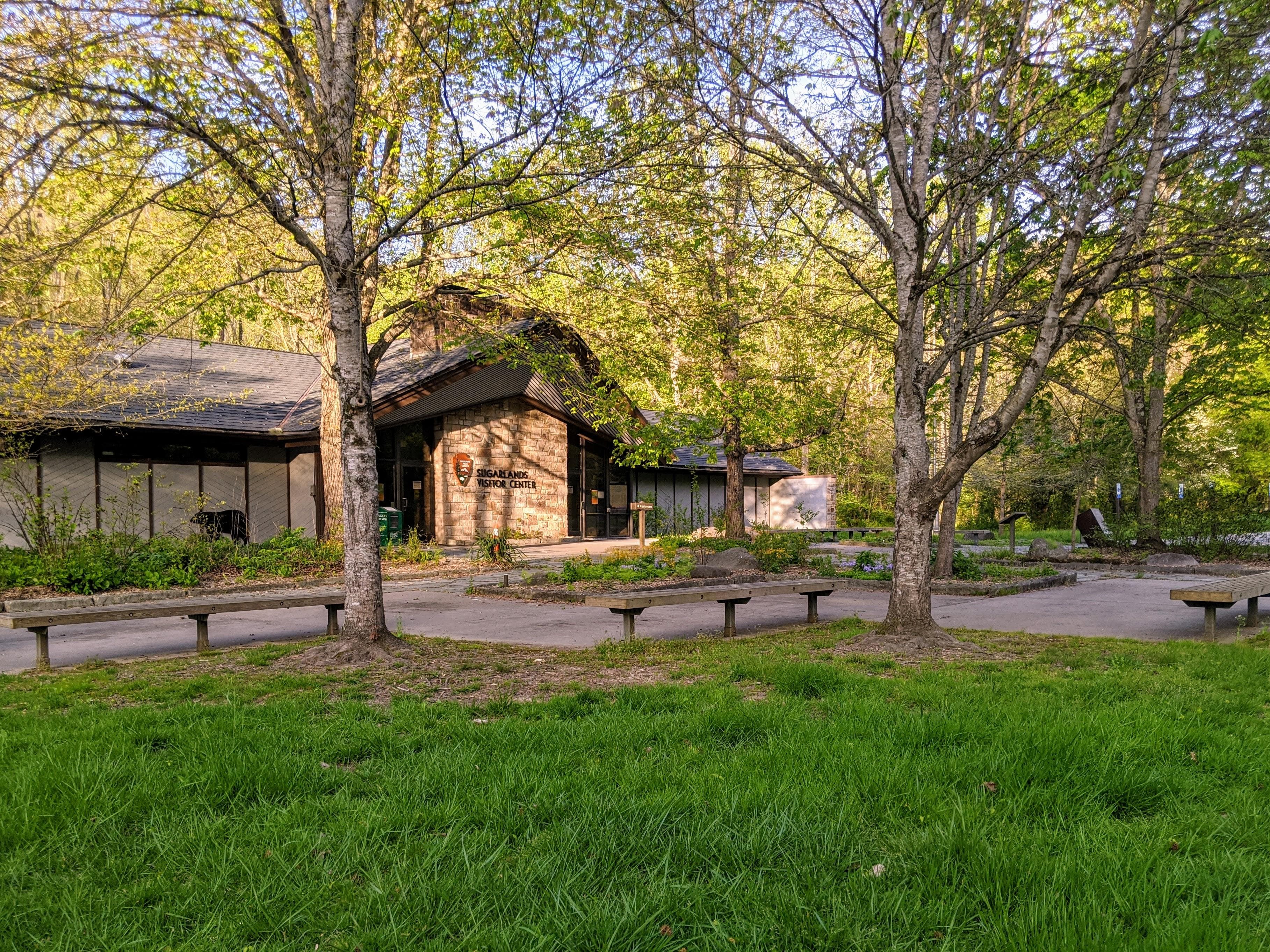 The entrance area to a building, including grass, trees, benches, sidewalks, and enclosed gardens.