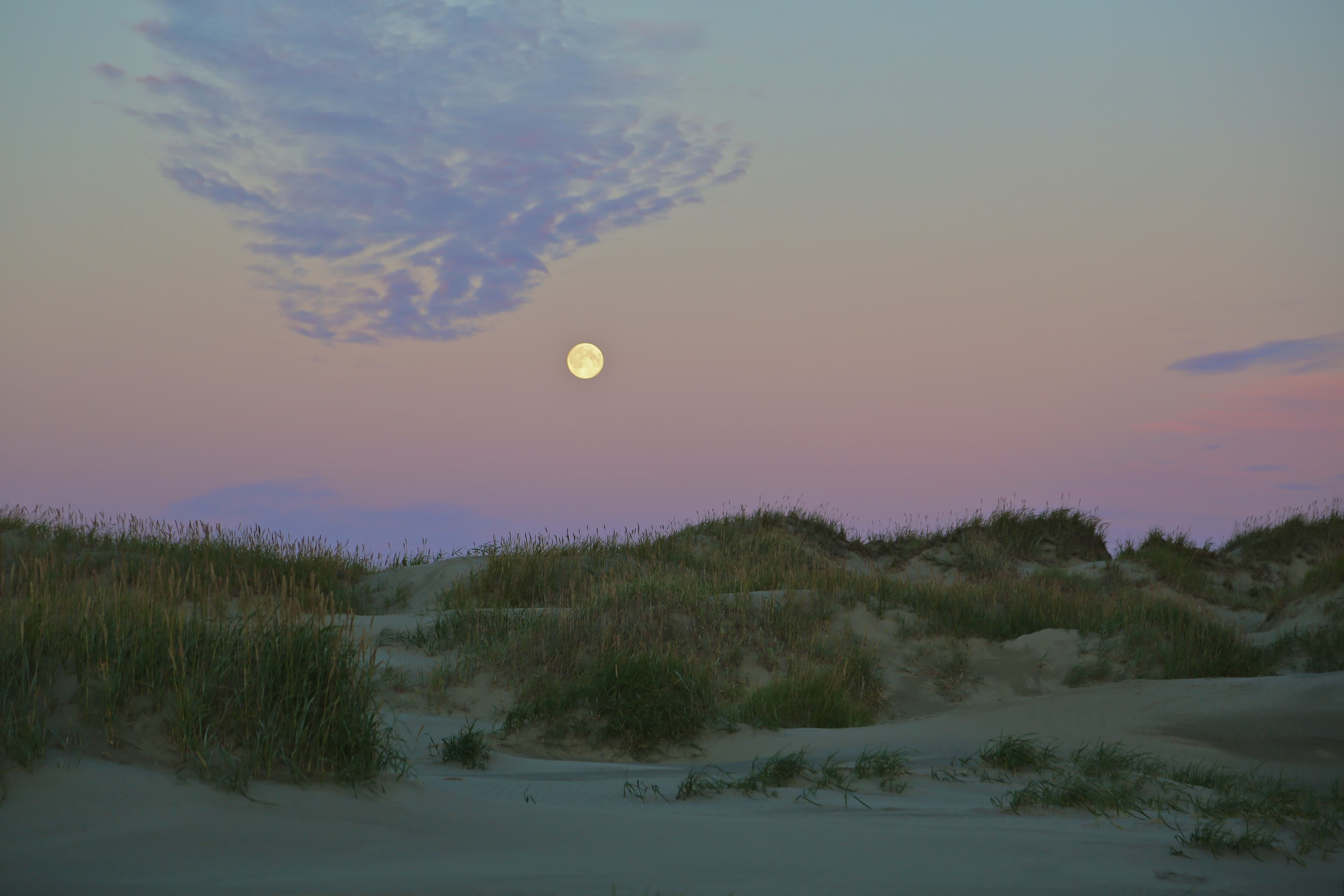 Rolling sand dunes with sparse vegetation with full moon rising above.