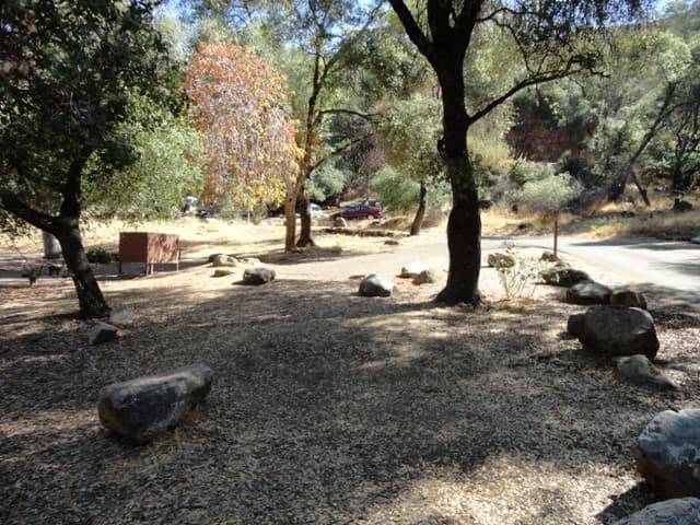 A campground site beneath oak trees