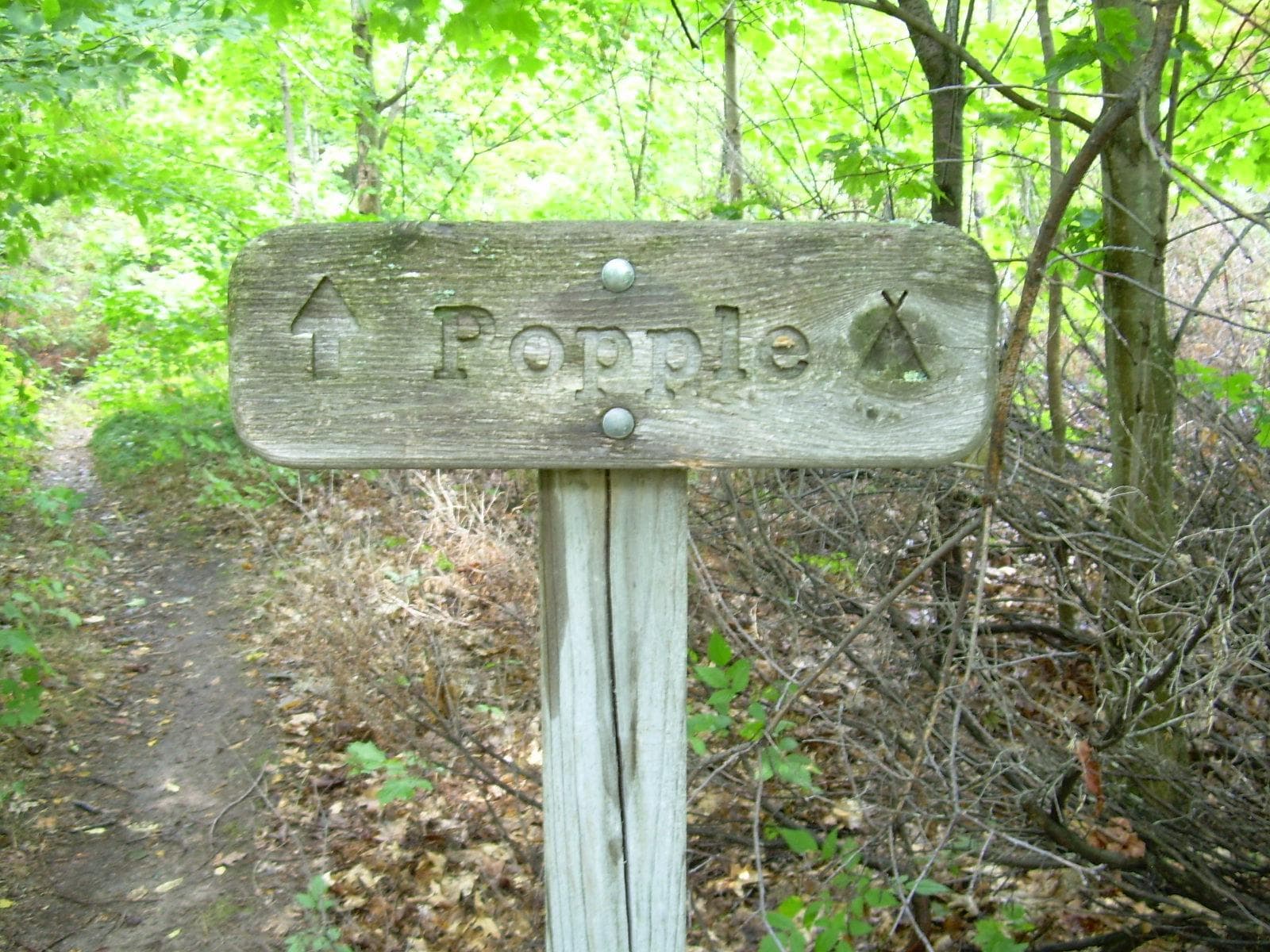 Wood sign that reads "Popple" in front of a trail and forest.