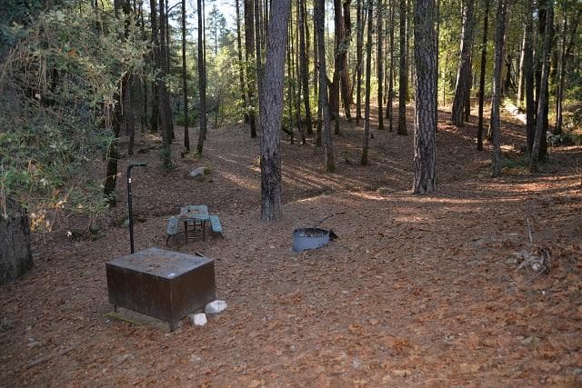 Sheep Camp Site 1