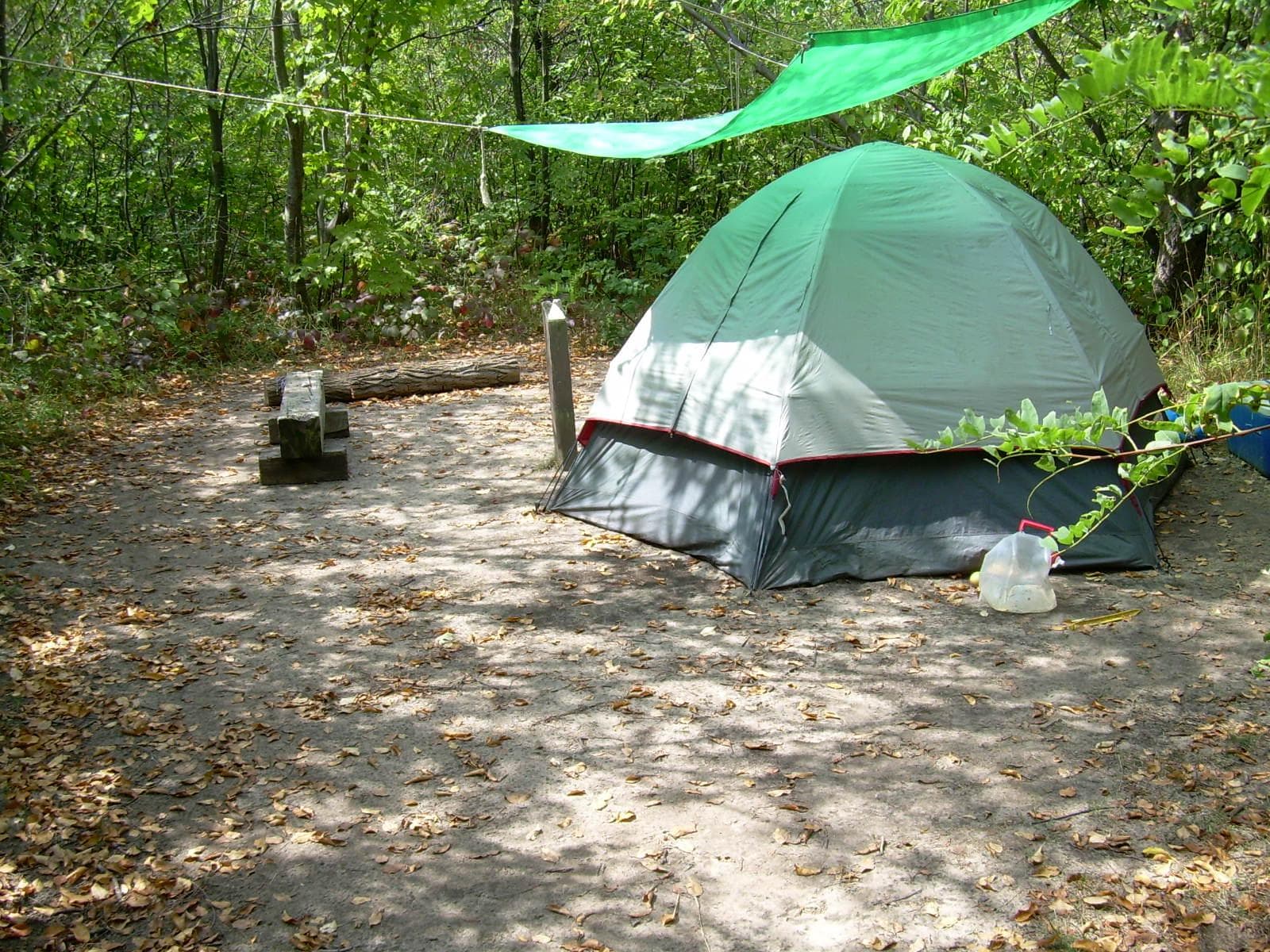 Tent on sand surrounded by forest with a tarp tied above.
