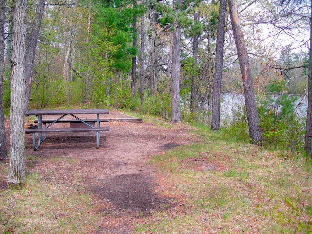 A picnic table and a fire ring in an open grass space surrounded by trees and shrubs.