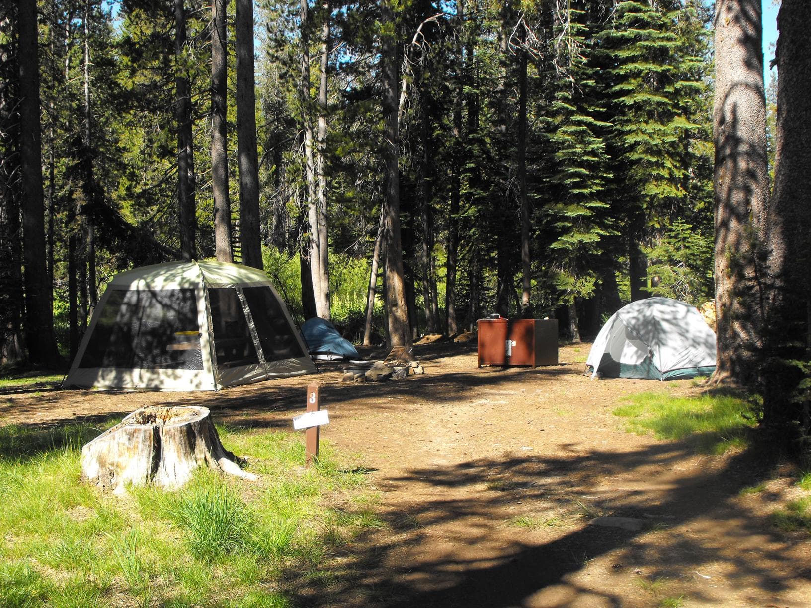 A tree-lined campsite with a tent and metal bear box .