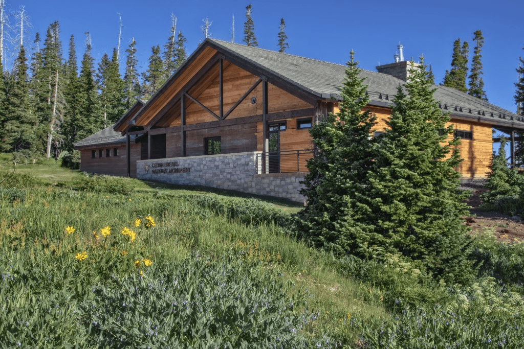 Green trees and yellow flowers surround the new Visitor Center