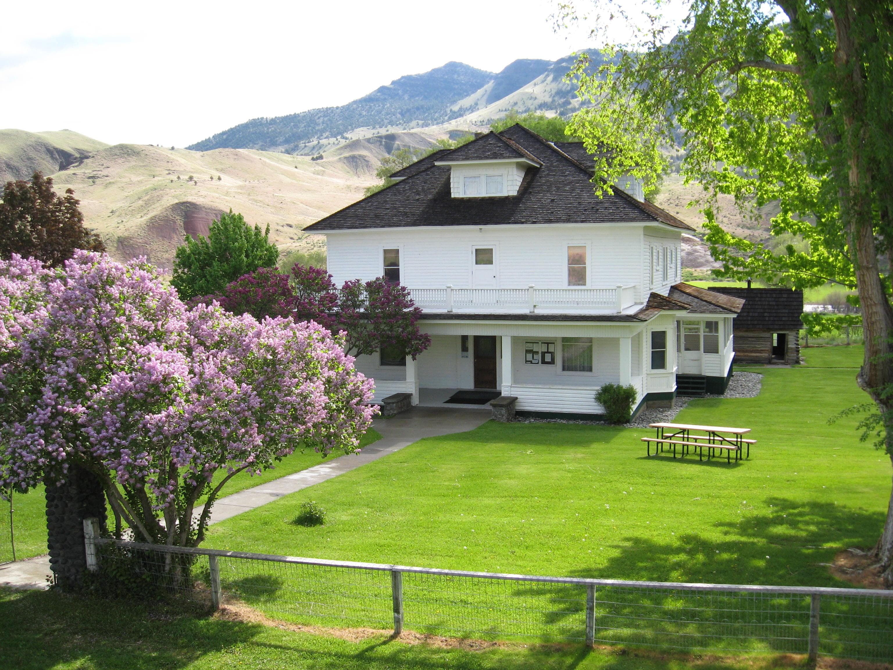 A two-story white ranch home surrounded by trees, green lawn, a wire fence, and two blooming lilacs.