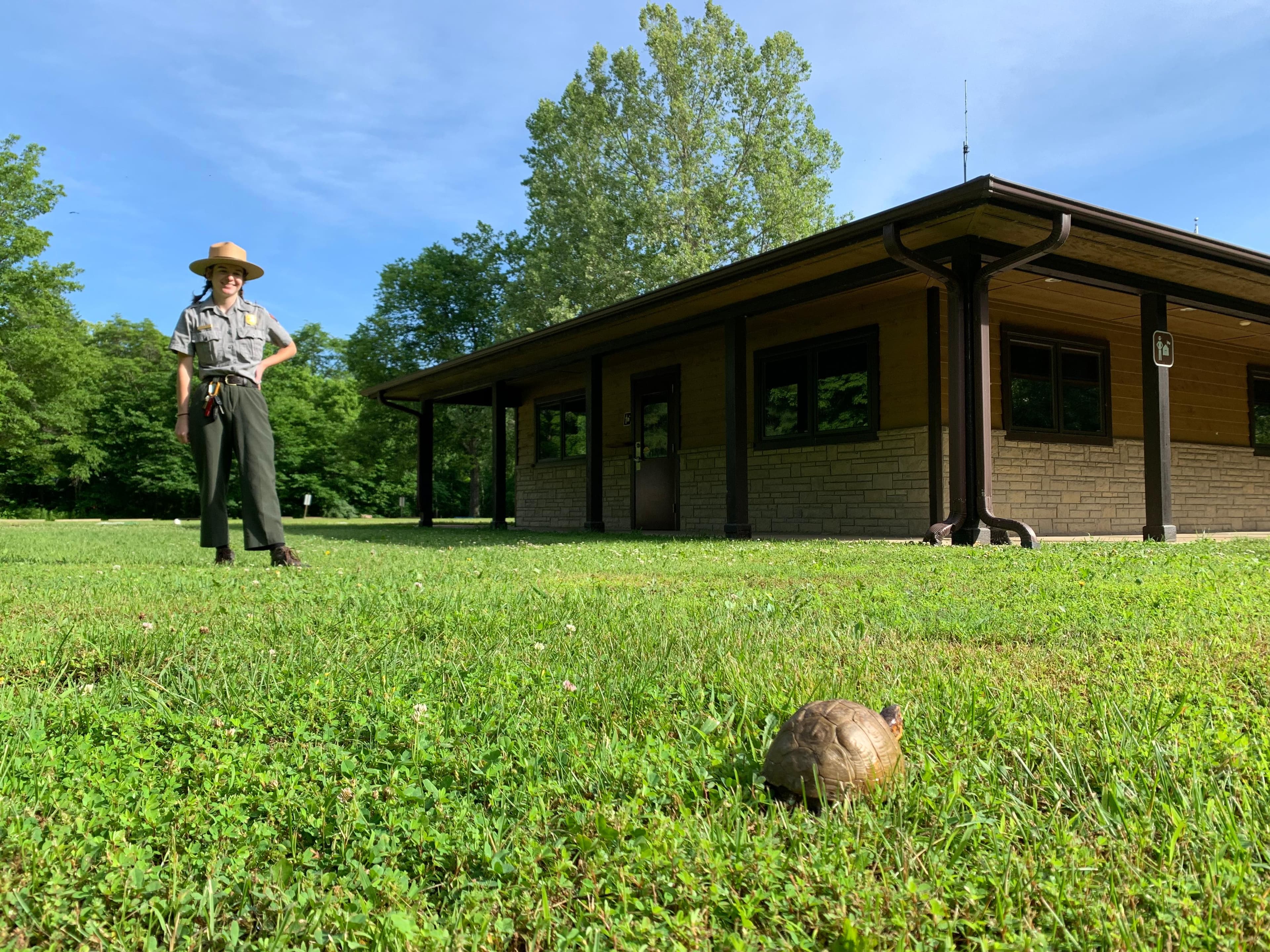 A turtle walks through the grass towards a ranger station. A ranger watches and smiles.