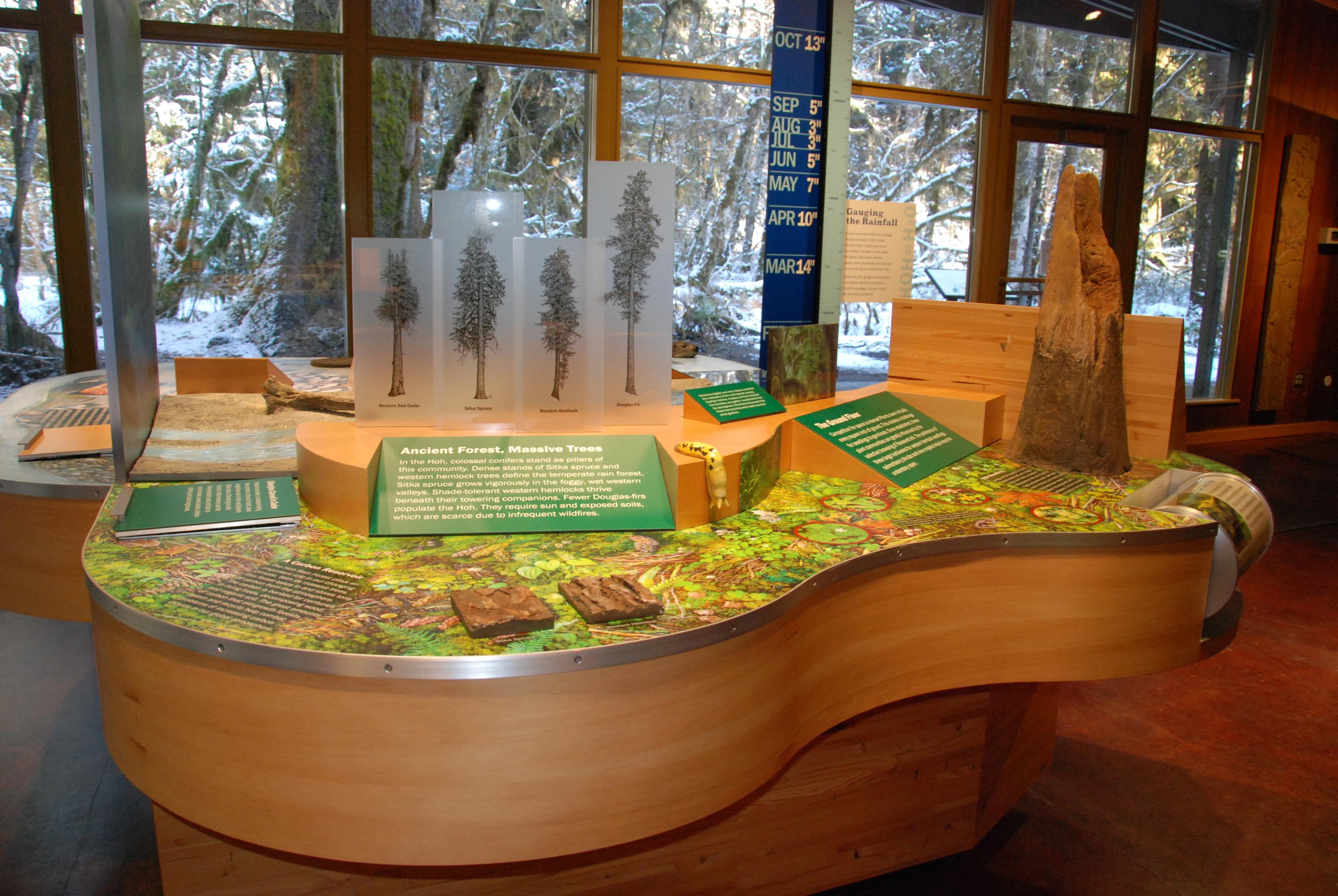 Hoh Visitor Center