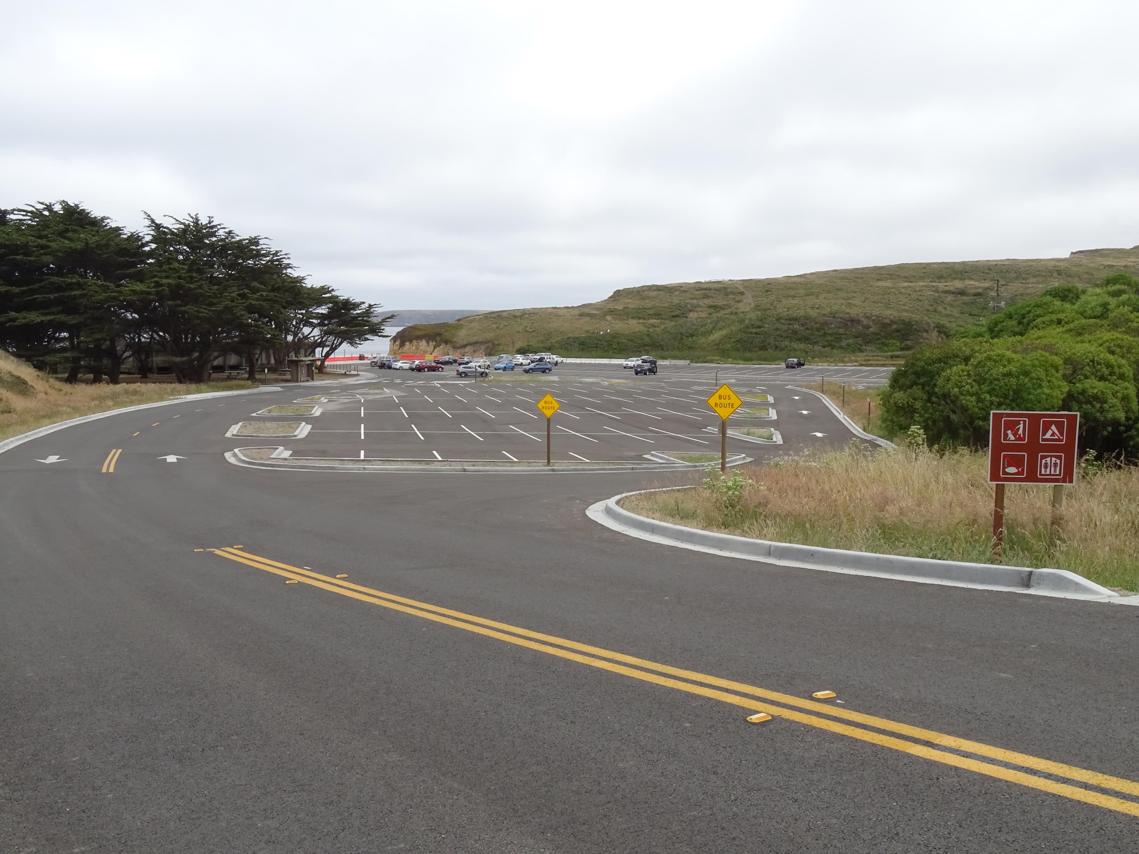 Over 20 vehicles in a large, paved parking lot adjacent to a wooden building and trees on the left.